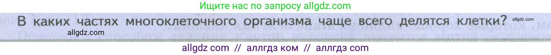 Биология, 9 класс Учебник, авторы: Пасечник Владимир Васильевич, Каменский Андрей Александрович, Швецов Глеб Геннадьевич, Гапонюк Зоя Георгиевна, издательство Просвещение, Москва, 2023, белого цвета, страница 36, Условие