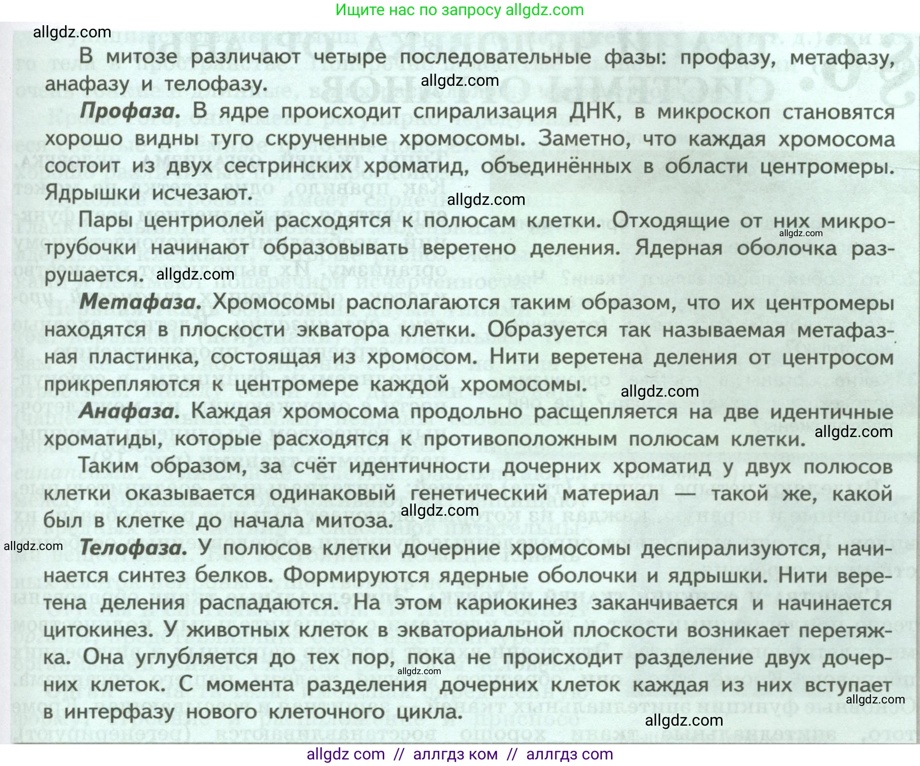 Биология, 9 класс Учебник, авторы: Пасечник Владимир Васильевич, Каменский Андрей Александрович, Швецов Глеб Геннадьевич, Гапонюк Зоя Георгиевна, издательство Просвещение, Москва, 2023, белого цвета, страница 36, Условие (продолжение 2)