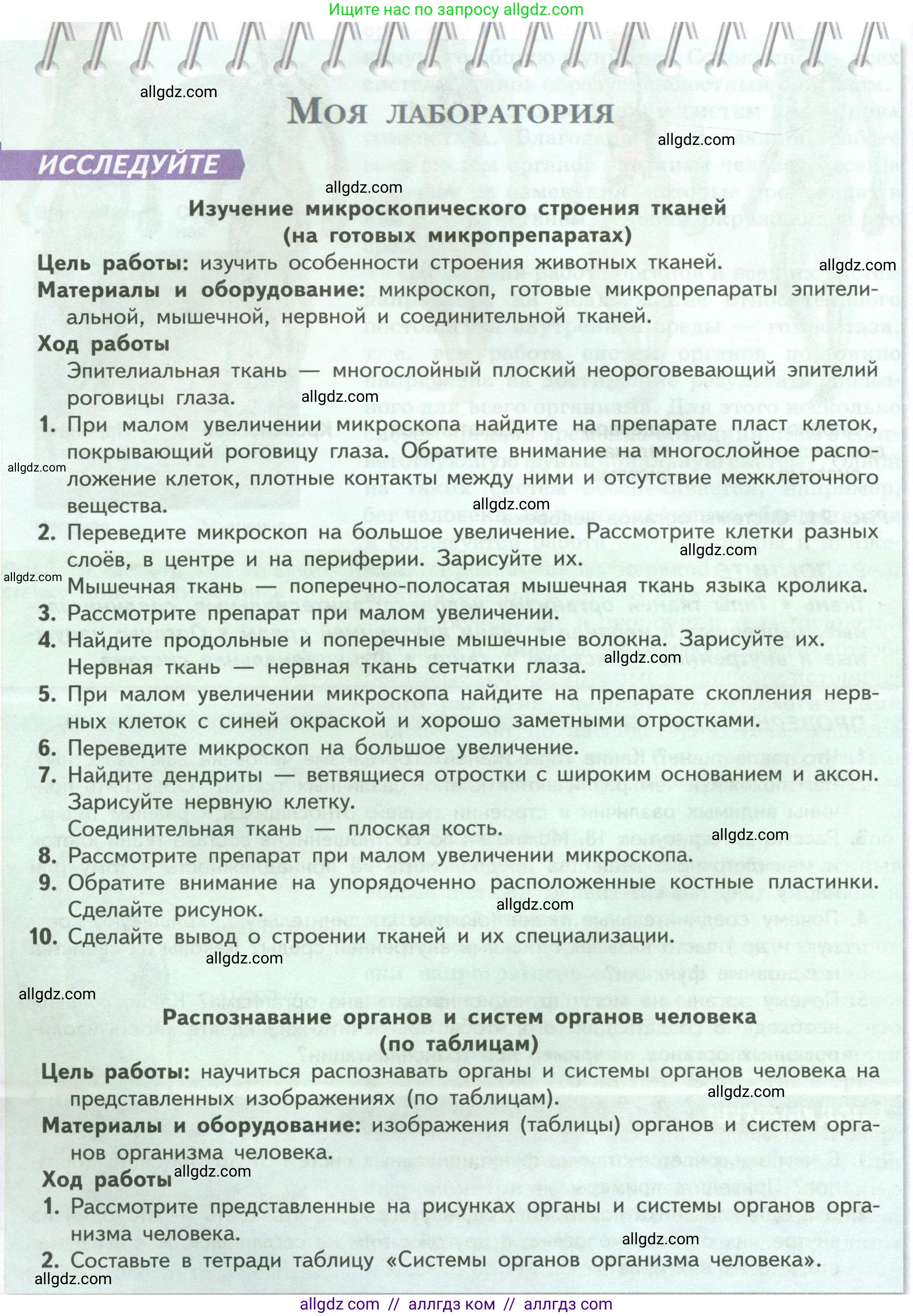 Биология, 9 класс Учебник, авторы: Пасечник Владимир Васильевич, Каменский Андрей Александрович, Швецов Глеб Геннадьевич, Гапонюк Зоя Георгиевна, издательство Просвещение, Москва, 2023, белого цвета, страница 42, Условие