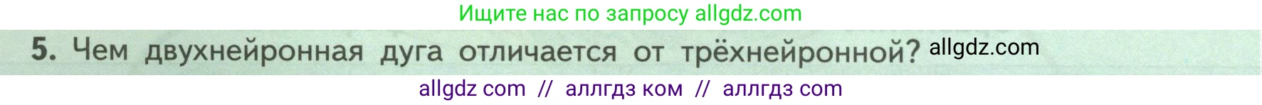 Биология, 9 класс Учебник, авторы: Пасечник Владимир Васильевич, Каменский Андрей Александрович, Швецов Глеб Геннадьевич, Гапонюк Зоя Георгиевна, издательство Просвещение, Москва, 2023, белого цвета, страница 48, номер 5, Условие