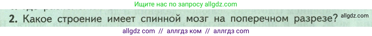 Биология, 9 класс Учебник, авторы: Пасечник Владимир Васильевич, Каменский Андрей Александрович, Швецов Глеб Геннадьевич, Гапонюк Зоя Георгиевна, издательство Просвещение, Москва, 2023, белого цвета, страница 53, номер 2, Условие
