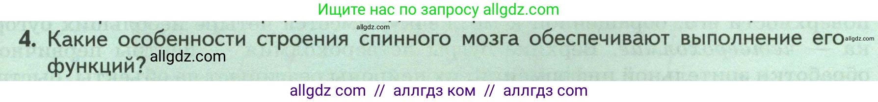 Биология, 9 класс Учебник, авторы: Пасечник Владимир Васильевич, Каменский Андрей Александрович, Швецов Глеб Геннадьевич, Гапонюк Зоя Георгиевна, издательство Просвещение, Москва, 2023, белого цвета, страница 53, номер 4, Условие