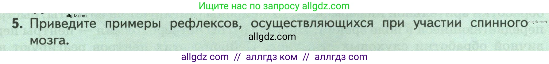 Биология, 9 класс Учебник, авторы: Пасечник Владимир Васильевич, Каменский Андрей Александрович, Швецов Глеб Геннадьевич, Гапонюк Зоя Георгиевна, издательство Просвещение, Москва, 2023, белого цвета, страница 53, номер 5, Условие