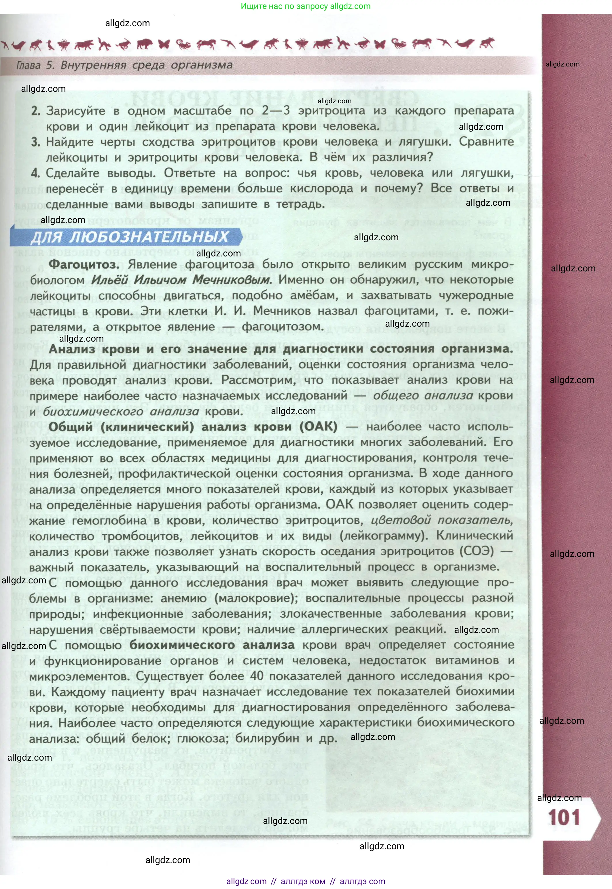 Биология, 9 класс Учебник, авторы: Пасечник Владимир Васильевич, Каменский Андрей Александрович, Швецов Глеб Геннадьевич, Гапонюк Зоя Георгиевна, издательство Просвещение, Москва, 2023, белого цвета, страница 101