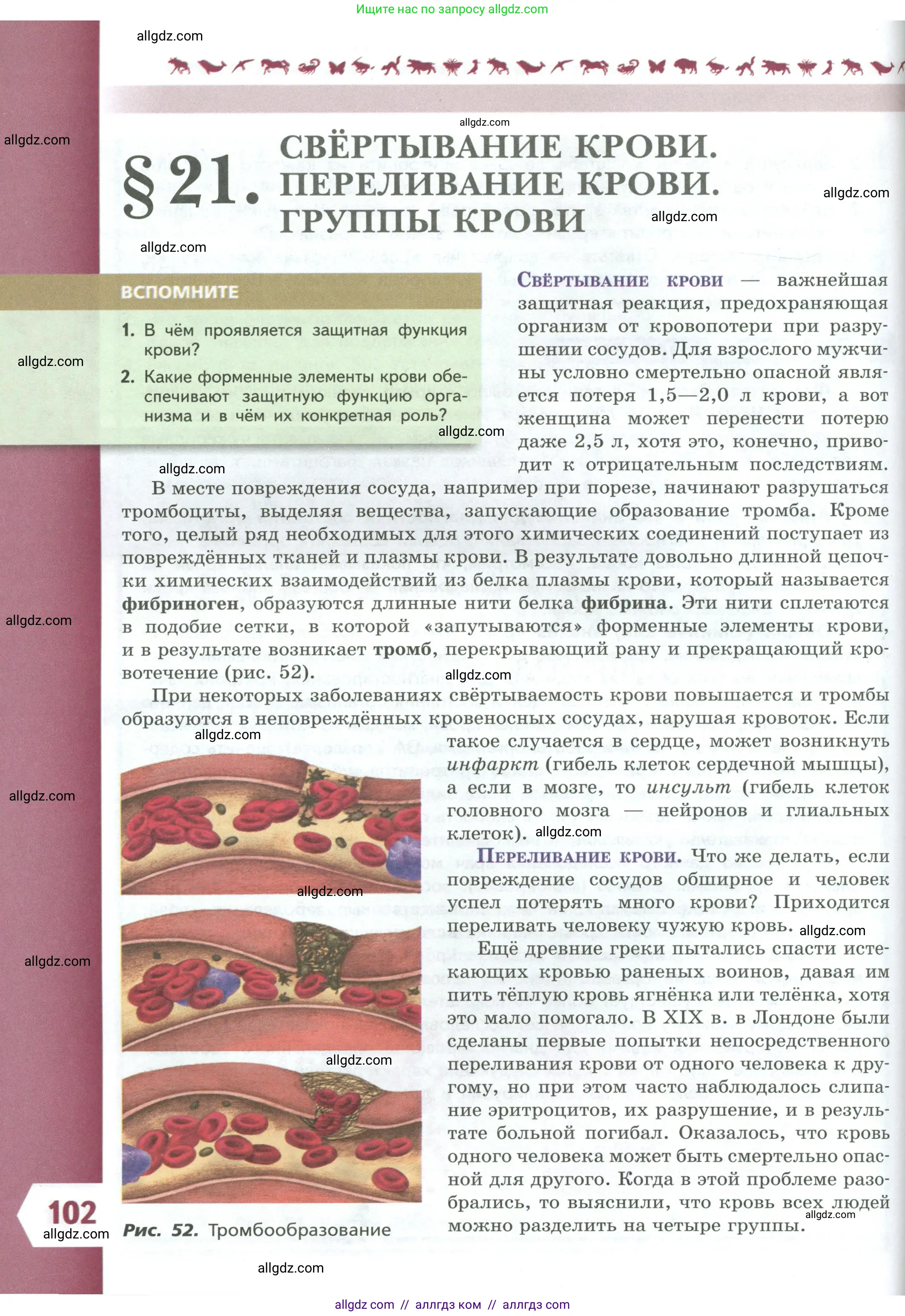 Биология, 9 класс Учебник, авторы: Пасечник Владимир Васильевич, Каменский Андрей Александрович, Швецов Глеб Геннадьевич, Гапонюк Зоя Георгиевна, издательство Просвещение, Москва, 2023, белого цвета, страница 102