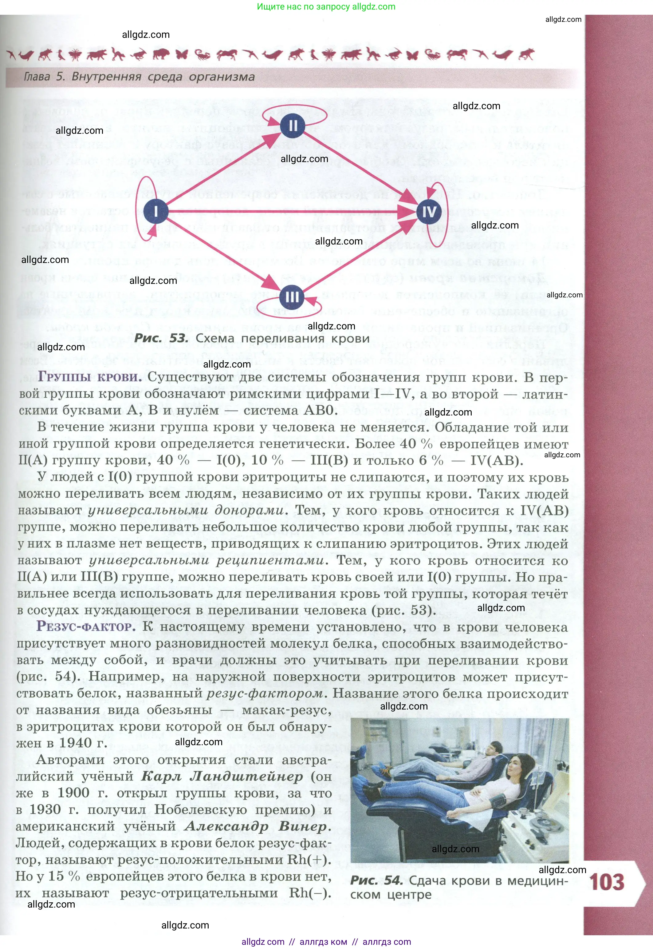 Биология, 9 класс Учебник, авторы: Пасечник Владимир Васильевич, Каменский Андрей Александрович, Швецов Глеб Геннадьевич, Гапонюк Зоя Георгиевна, издательство Просвещение, Москва, 2023, белого цвета, страница 103