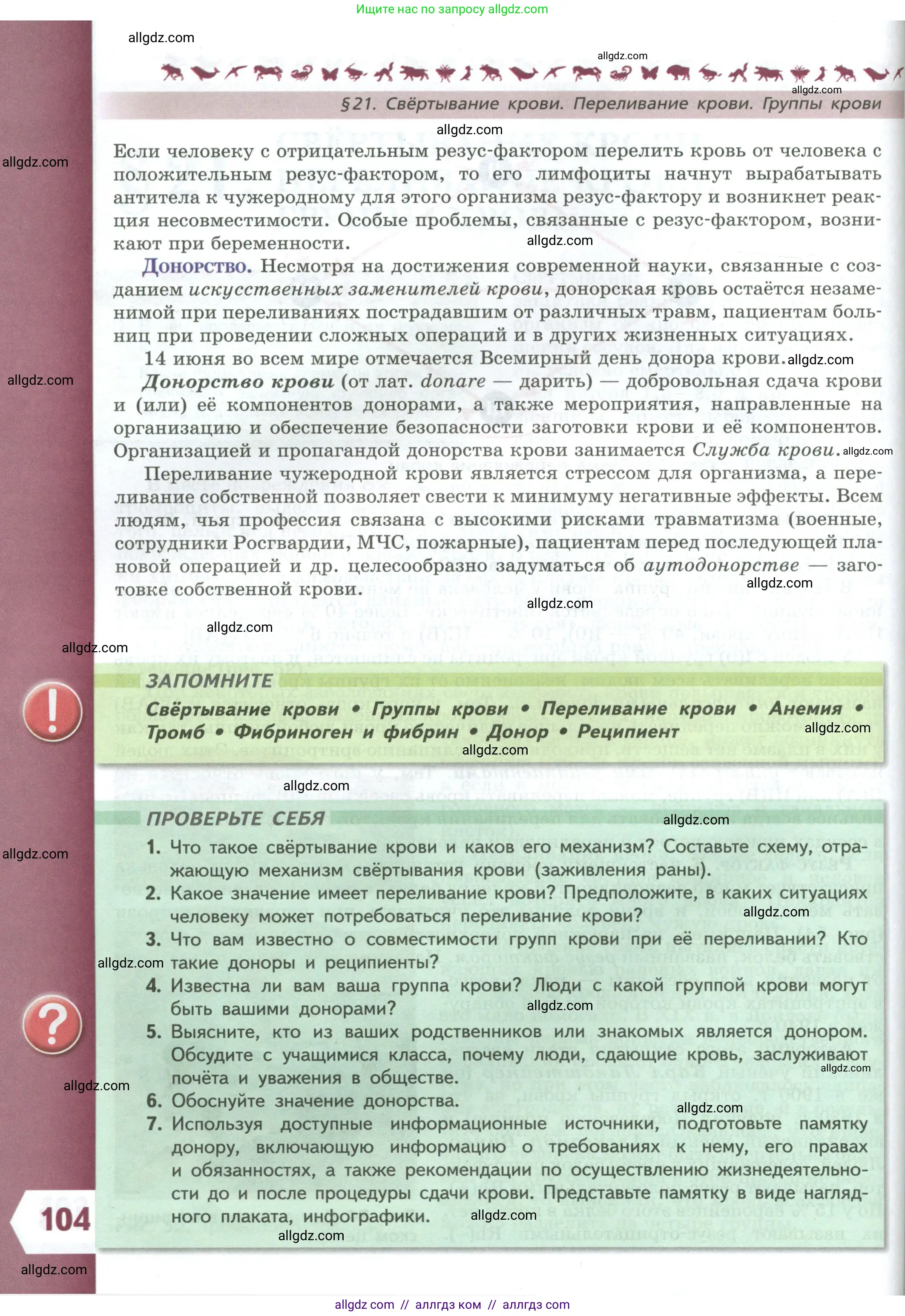 Биология, 9 класс Учебник, авторы: Пасечник Владимир Васильевич, Каменский Андрей Александрович, Швецов Глеб Геннадьевич, Гапонюк Зоя Георгиевна, издательство Просвещение, Москва, 2023, белого цвета, страница 104