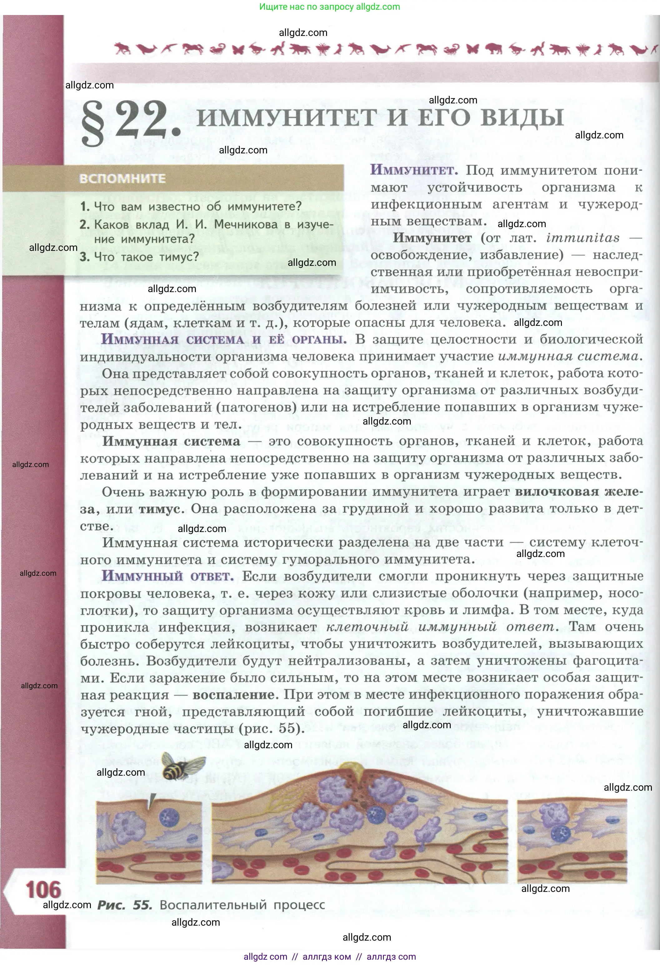 Биология, 9 класс Учебник, авторы: Пасечник Владимир Васильевич, Каменский Андрей Александрович, Швецов Глеб Геннадьевич, Гапонюк Зоя Георгиевна, издательство Просвещение, Москва, 2023, белого цвета, страница 106