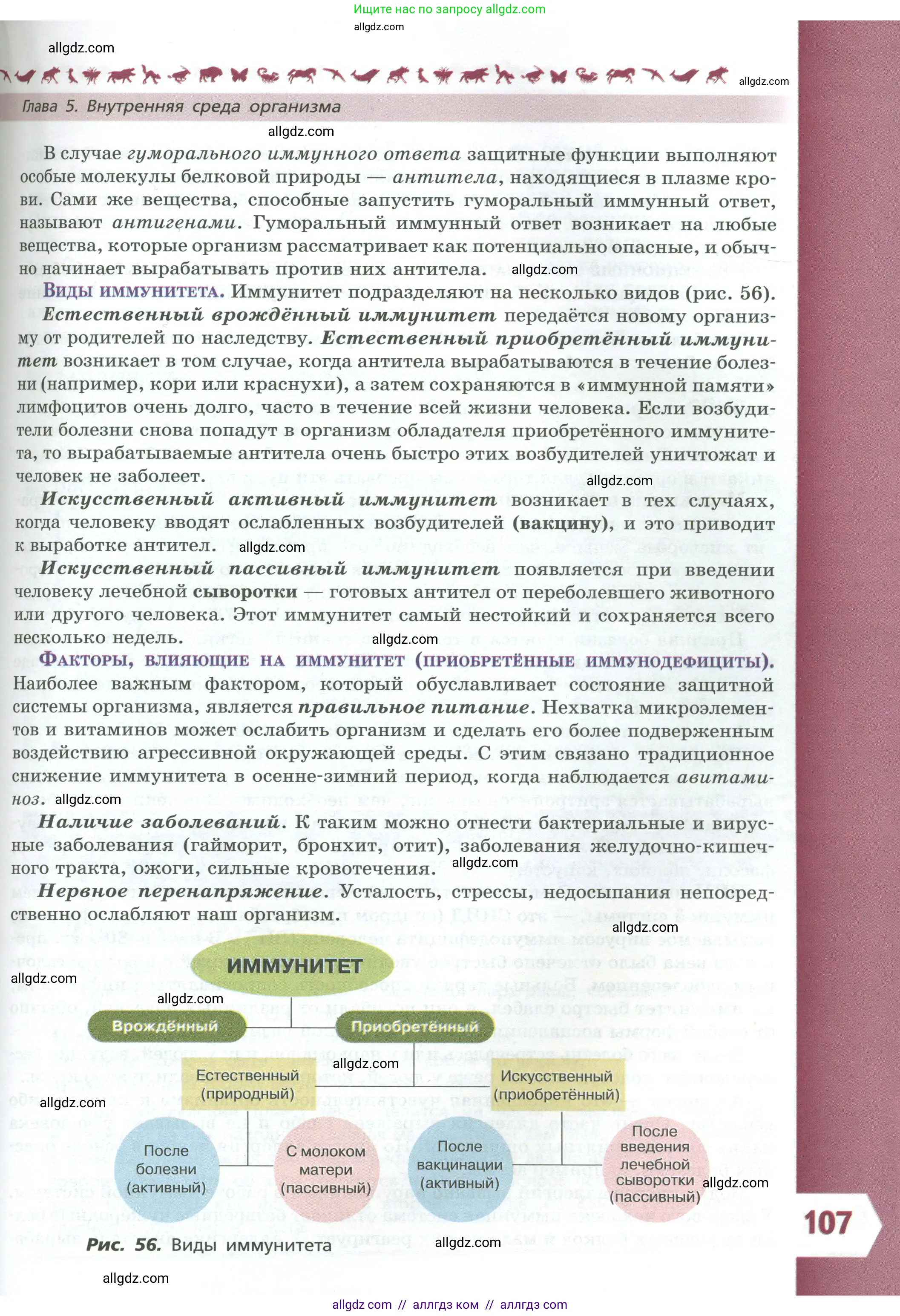 Биология, 9 класс Учебник, авторы: Пасечник Владимир Васильевич, Каменский Андрей Александрович, Швецов Глеб Геннадьевич, Гапонюк Зоя Георгиевна, издательство Просвещение, Москва, 2023, белого цвета, страница 107