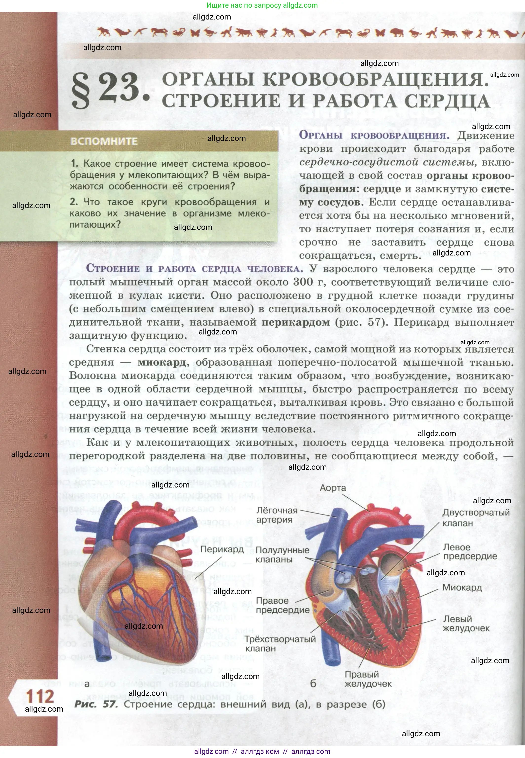 Биология, 9 класс Учебник, авторы: Пасечник Владимир Васильевич, Каменский Андрей Александрович, Швецов Глеб Геннадьевич, Гапонюк Зоя Георгиевна, издательство Просвещение, Москва, 2023, белого цвета, страница 112