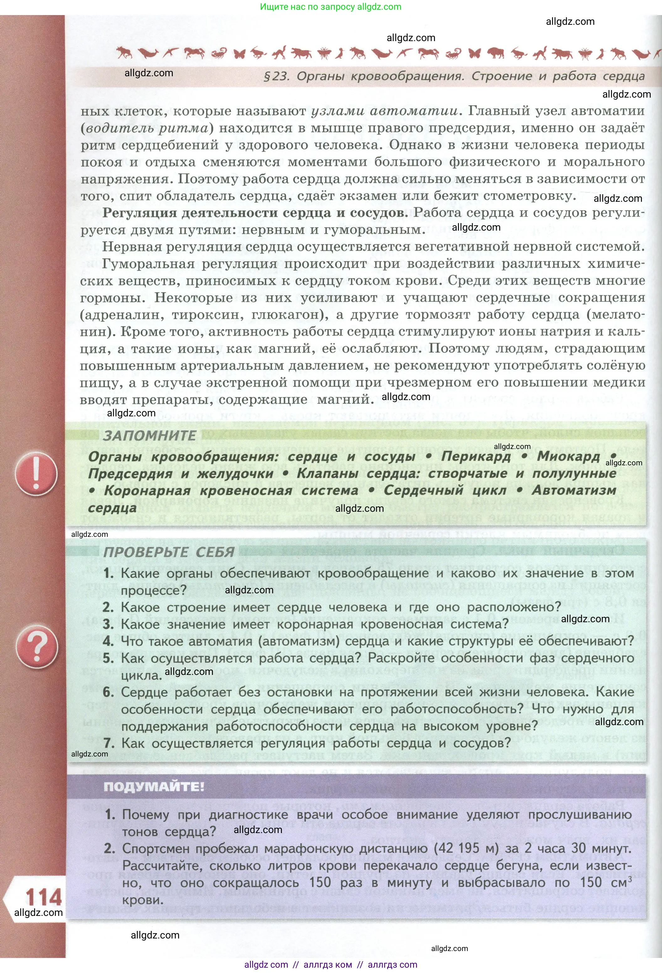 Биология, 9 класс Учебник, авторы: Пасечник Владимир Васильевич, Каменский Андрей Александрович, Швецов Глеб Геннадьевич, Гапонюк Зоя Георгиевна, издательство Просвещение, Москва, 2023, белого цвета, страница 114