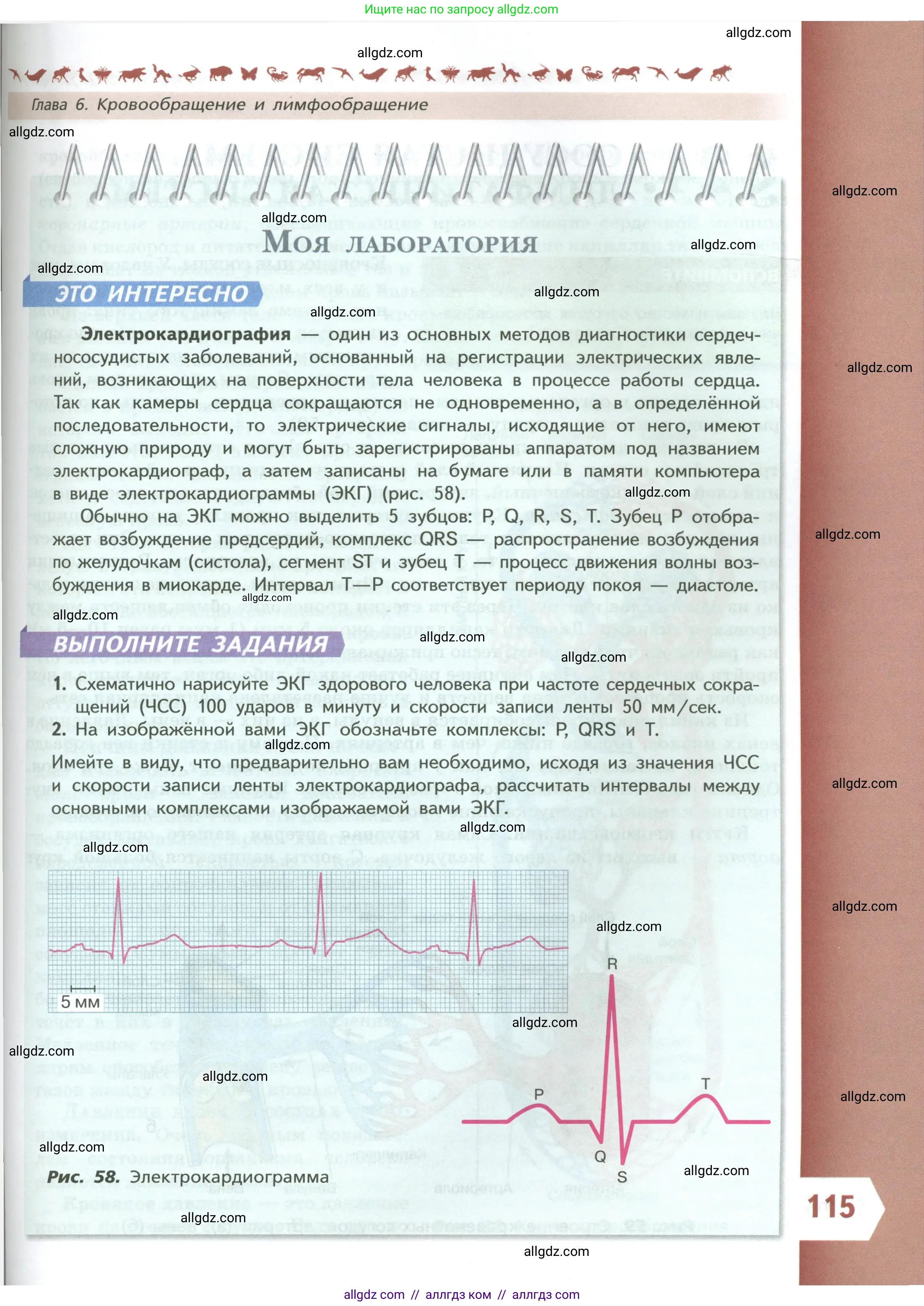 Биология, 9 класс Учебник, авторы: Пасечник Владимир Васильевич, Каменский Андрей Александрович, Швецов Глеб Геннадьевич, Гапонюк Зоя Георгиевна, издательство Просвещение, Москва, 2023, белого цвета, страница 115