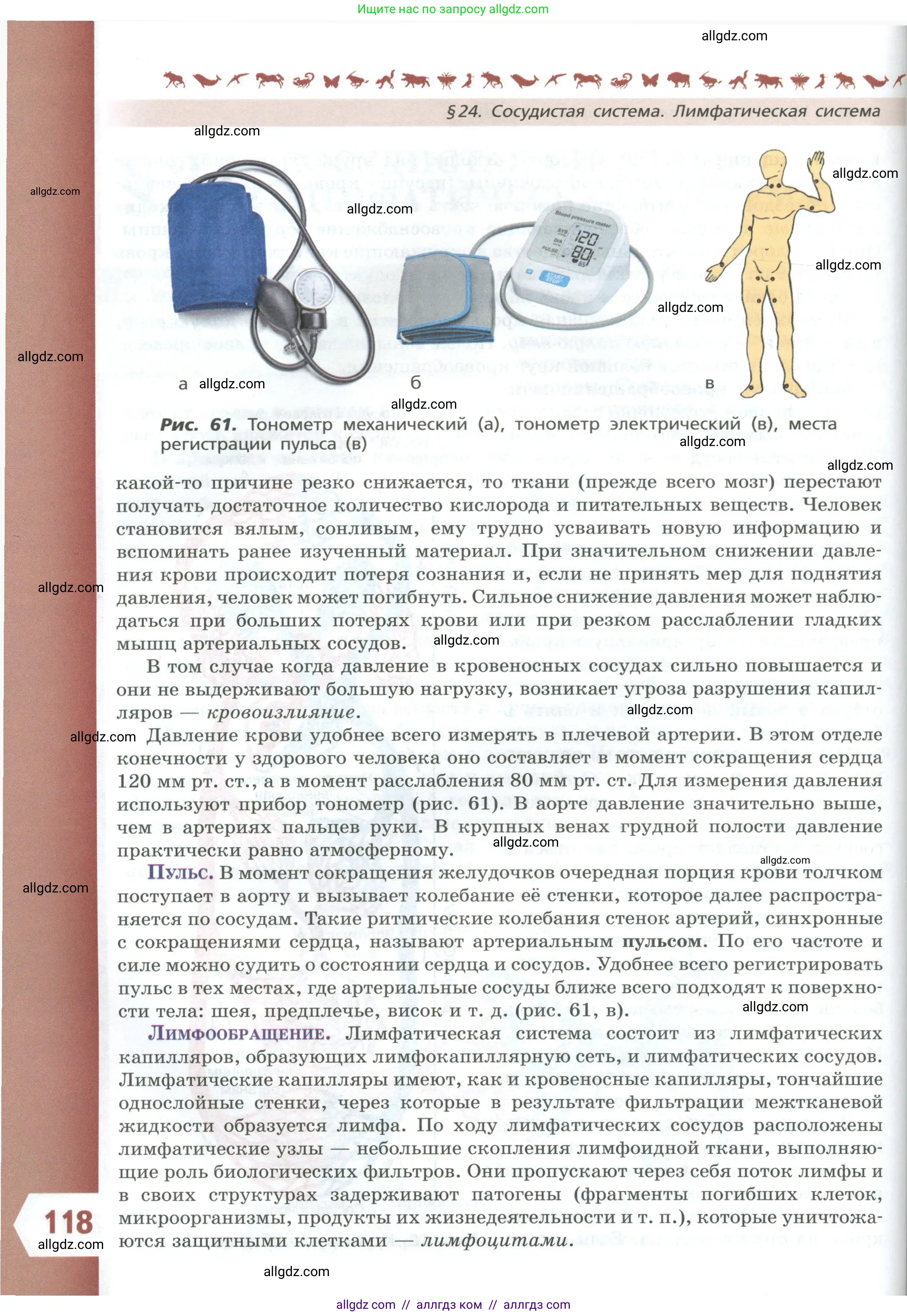 Биология, 9 класс Учебник, авторы: Пасечник Владимир Васильевич, Каменский Андрей Александрович, Швецов Глеб Геннадьевич, Гапонюк Зоя Георгиевна, издательство Просвещение, Москва, 2023, белого цвета, страница 118