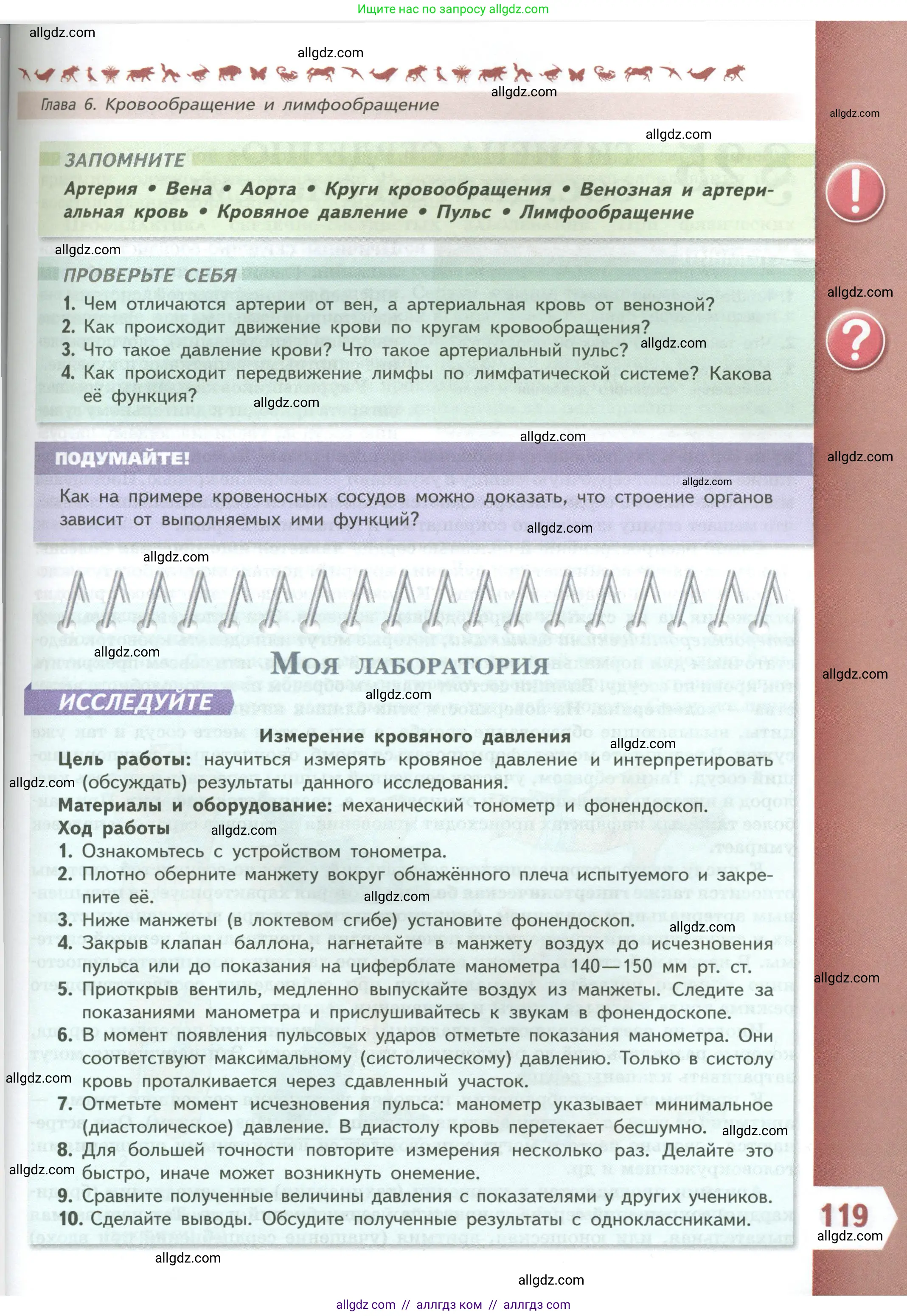 Биология, 9 класс Учебник, авторы: Пасечник Владимир Васильевич, Каменский Андрей Александрович, Швецов Глеб Геннадьевич, Гапонюк Зоя Георгиевна, издательство Просвещение, Москва, 2023, белого цвета, страница 119