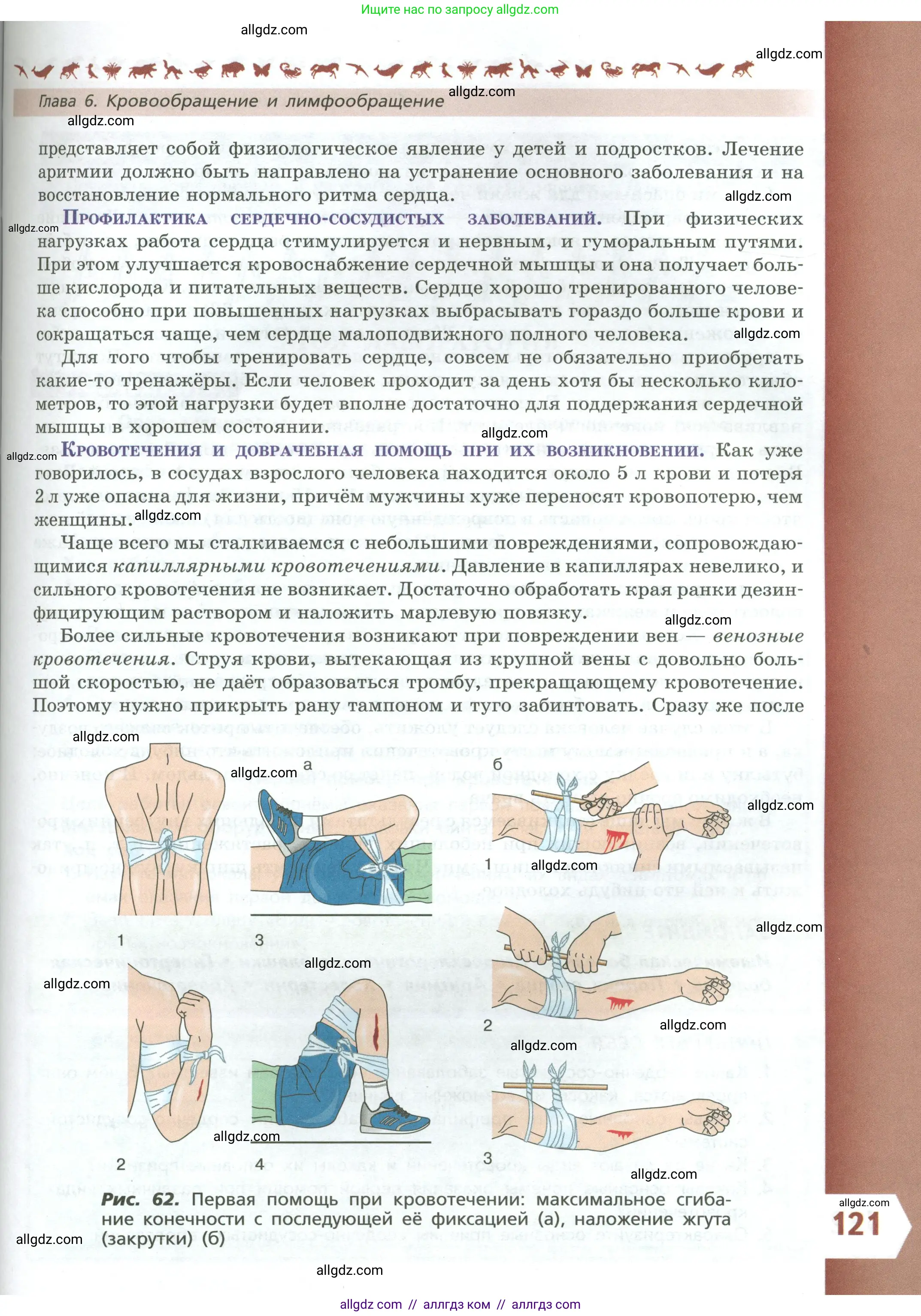 Биология, 9 класс Учебник, авторы: Пасечник Владимир Васильевич, Каменский Андрей Александрович, Швецов Глеб Геннадьевич, Гапонюк Зоя Георгиевна, издательство Просвещение, Москва, 2023, белого цвета, страница 121