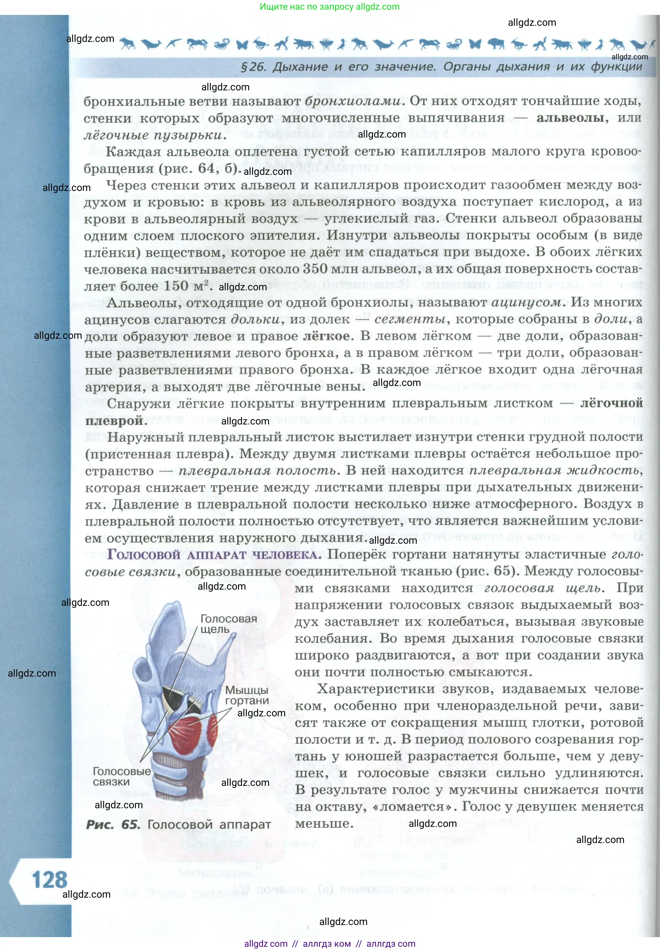 Биология, 9 класс Учебник, авторы: Пасечник Владимир Васильевич, Каменский Андрей Александрович, Швецов Глеб Геннадьевич, Гапонюк Зоя Георгиевна, издательство Просвещение, Москва, 2023, белого цвета, страница 128