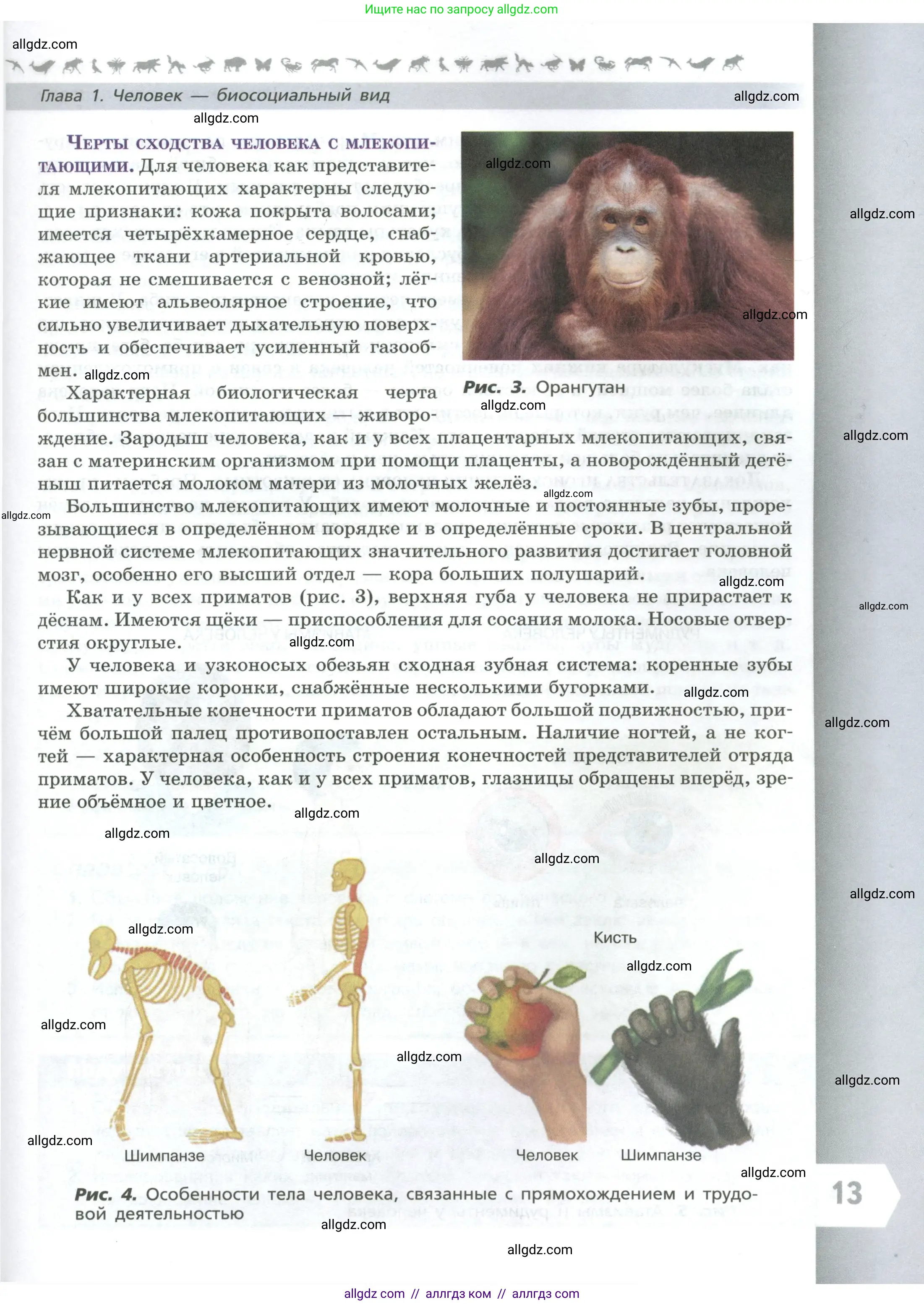 Биология, 9 класс Учебник, авторы: Пасечник Владимир Васильевич, Каменский Андрей Александрович, Швецов Глеб Геннадьевич, Гапонюк Зоя Георгиевна, издательство Просвещение, Москва, 2023, белого цвета, страница 13