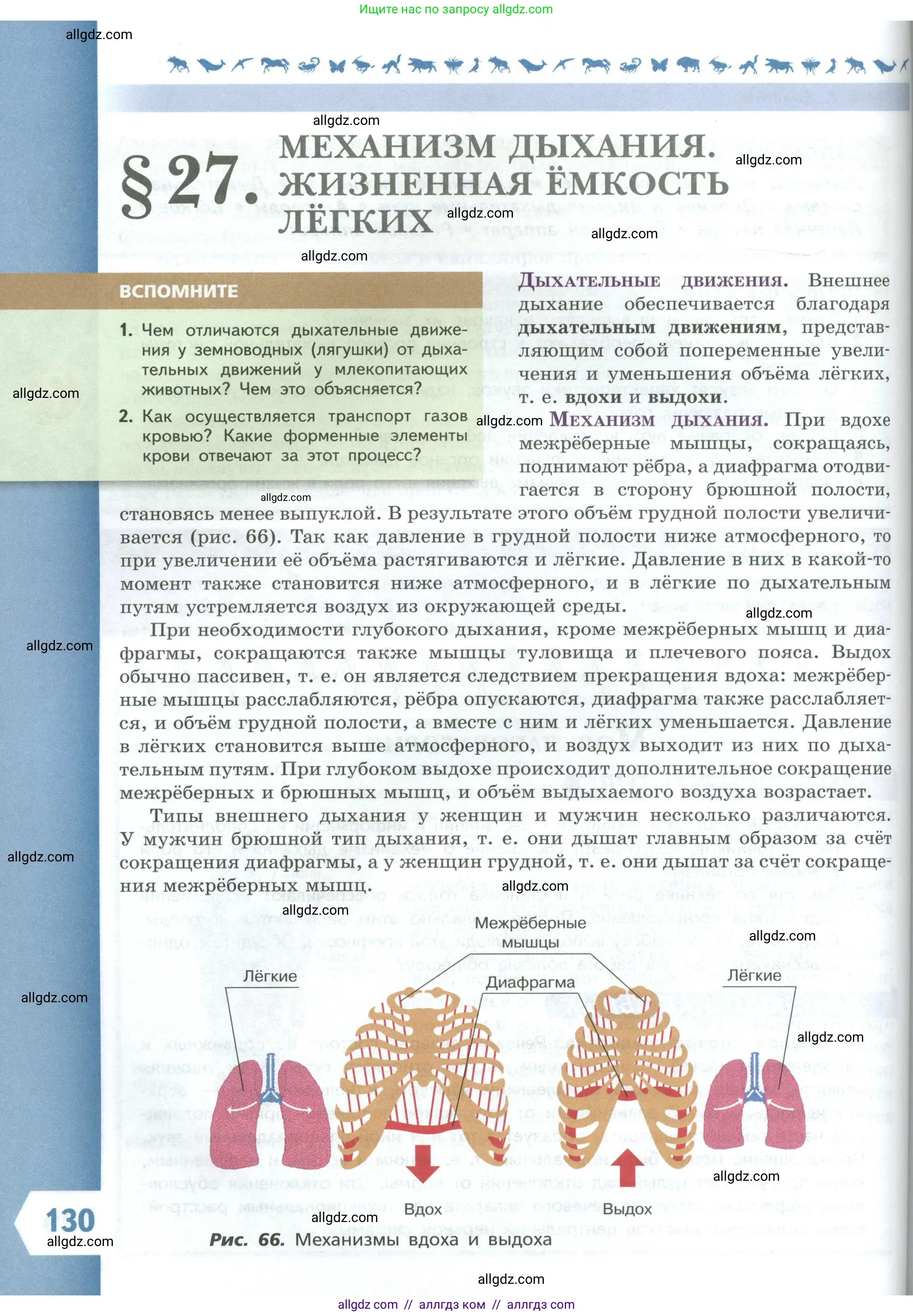 Биология, 9 класс Учебник, авторы: Пасечник Владимир Васильевич, Каменский Андрей Александрович, Швецов Глеб Геннадьевич, Гапонюк Зоя Георгиевна, издательство Просвещение, Москва, 2023, белого цвета, страница 130