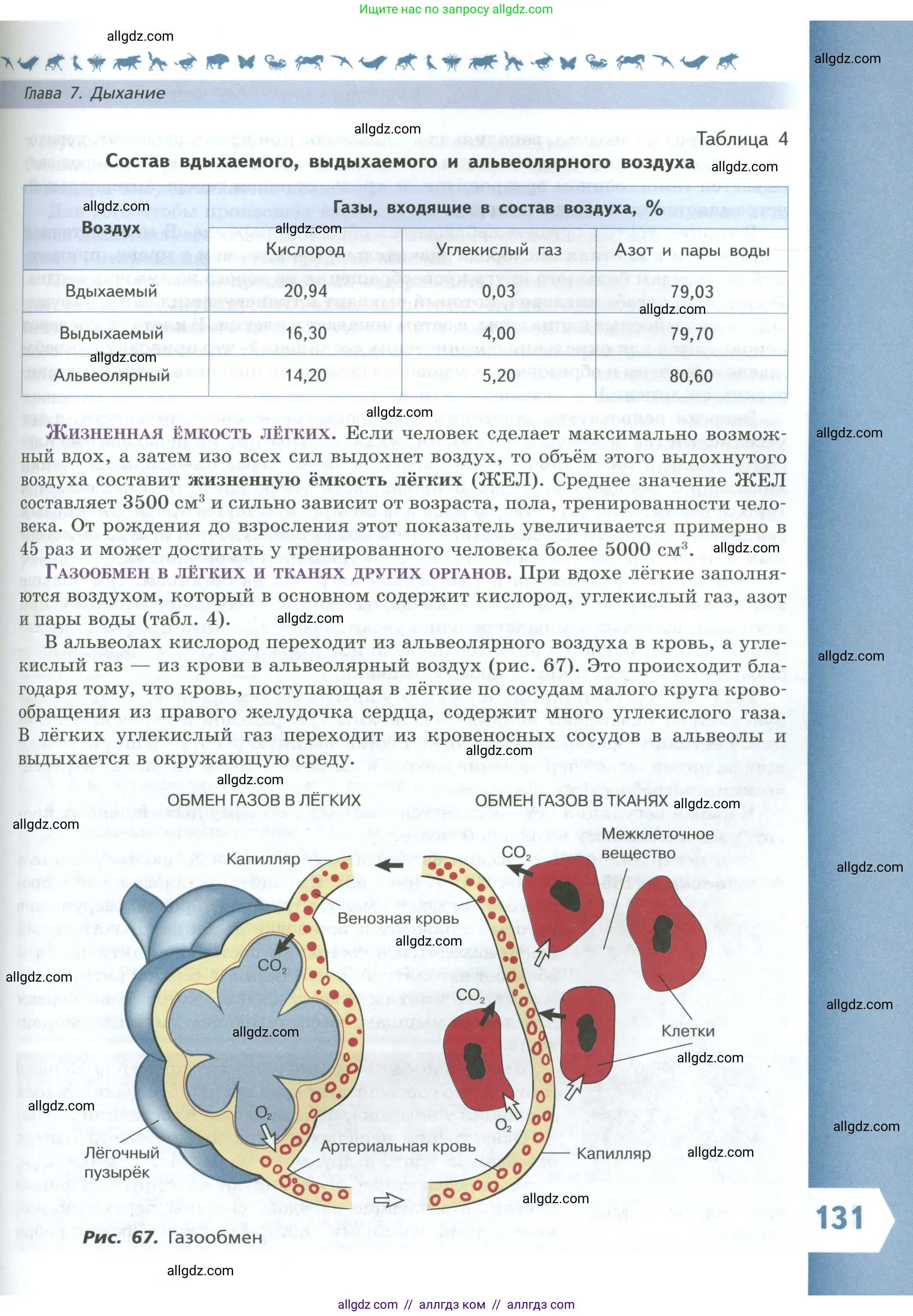 Биология, 9 класс Учебник, авторы: Пасечник Владимир Васильевич, Каменский Андрей Александрович, Швецов Глеб Геннадьевич, Гапонюк Зоя Георгиевна, издательство Просвещение, Москва, 2023, белого цвета, страница 131