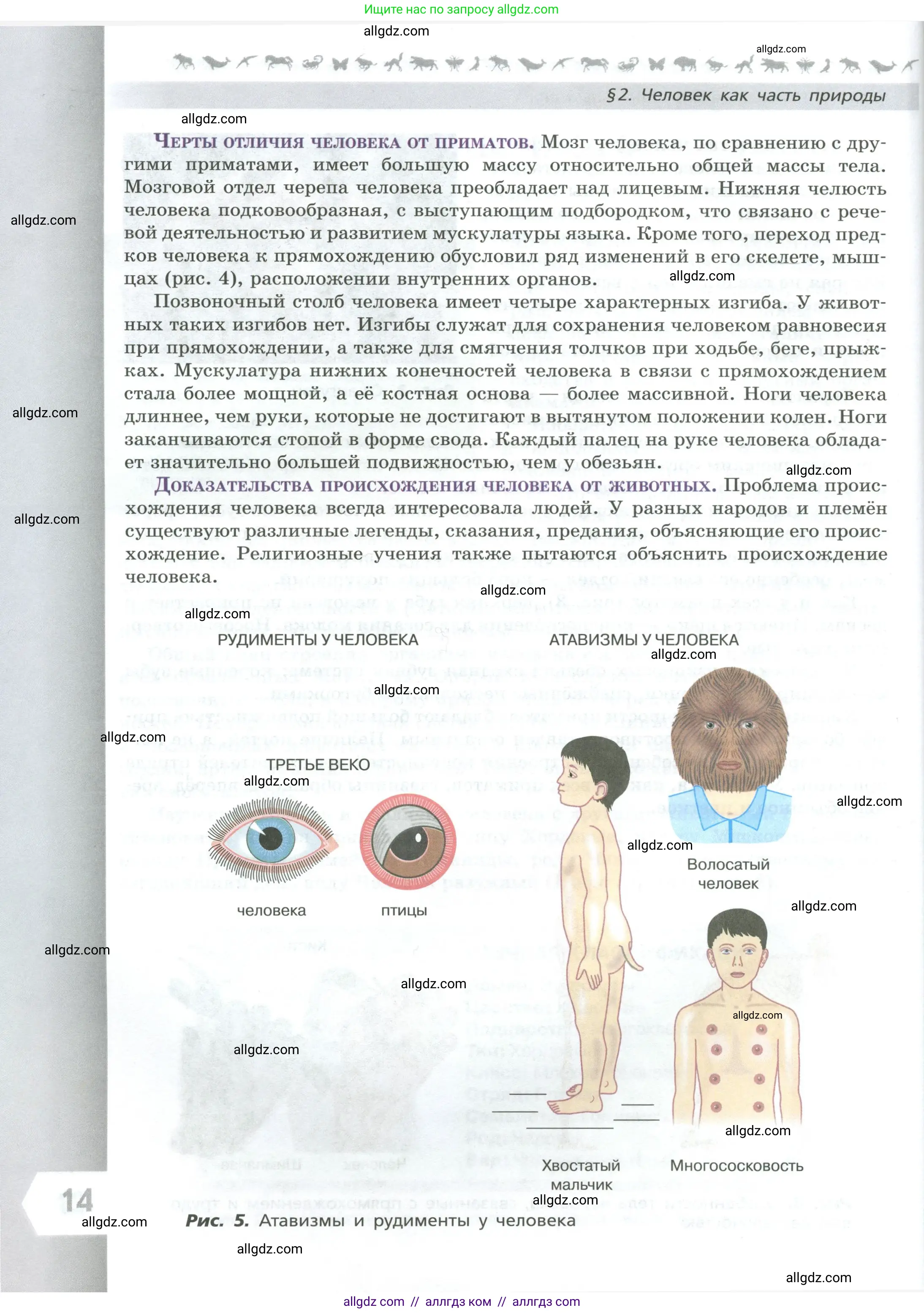 Биология, 9 класс Учебник, авторы: Пасечник Владимир Васильевич, Каменский Андрей Александрович, Швецов Глеб Геннадьевич, Гапонюк Зоя Георгиевна, издательство Просвещение, Москва, 2023, белого цвета, страница 14