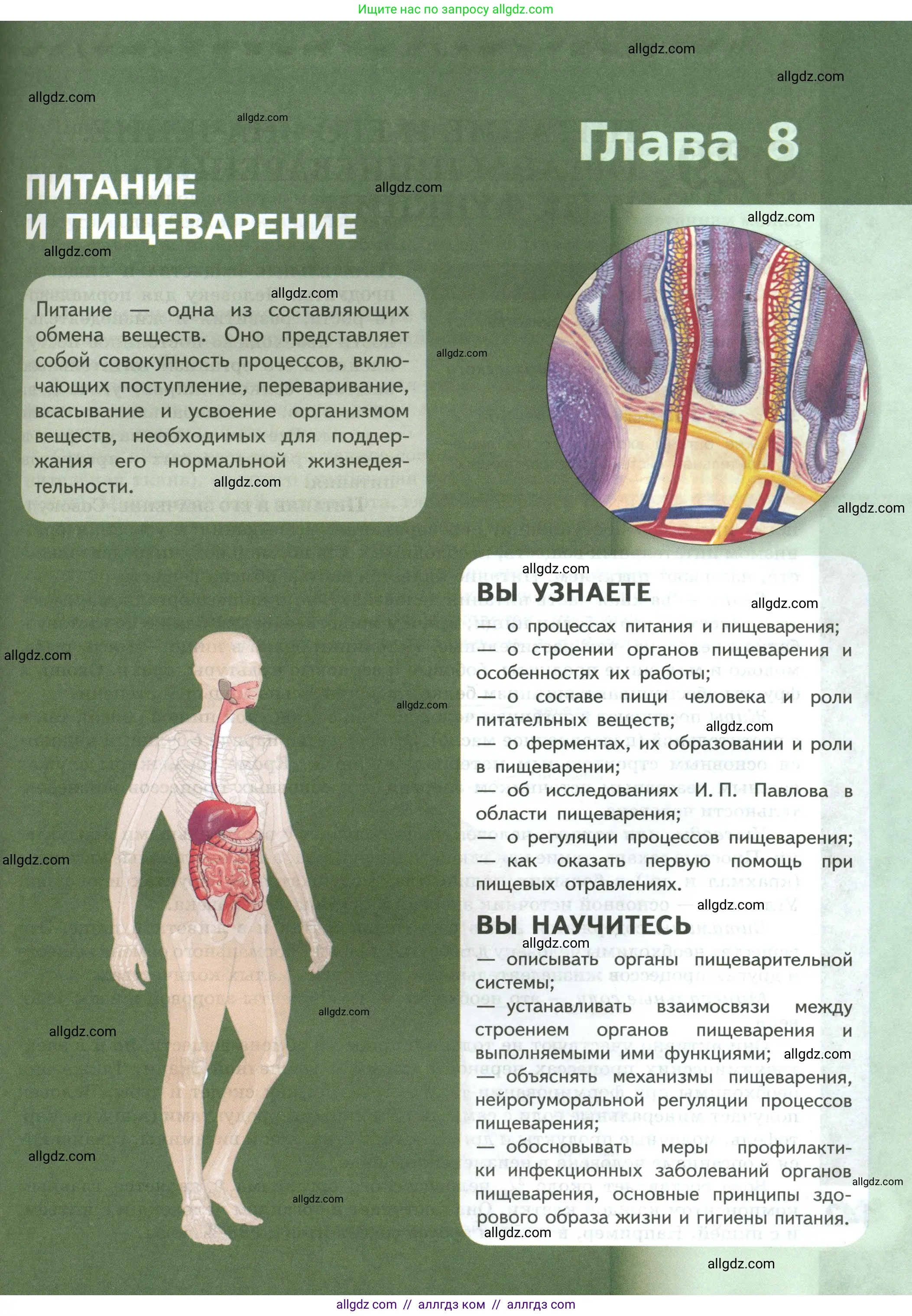 Биология, 9 класс Учебник, авторы: Пасечник Владимир Васильевич, Каменский Андрей Александрович, Швецов Глеб Геннадьевич, Гапонюк Зоя Георгиевна, издательство Просвещение, Москва, 2023, белого цвета, страница 141