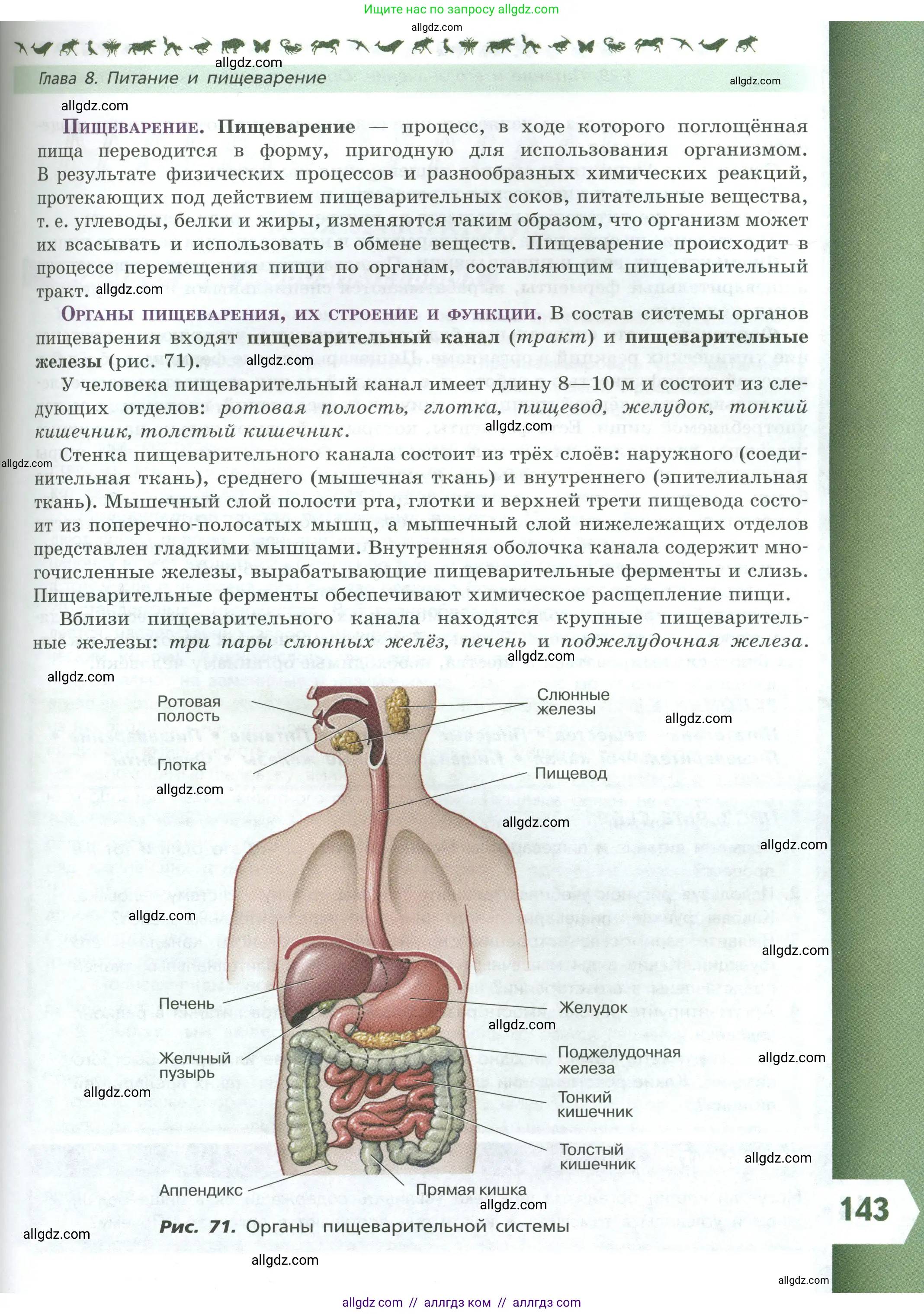 Биология, 9 класс Учебник, авторы: Пасечник Владимир Васильевич, Каменский Андрей Александрович, Швецов Глеб Геннадьевич, Гапонюк Зоя Георгиевна, издательство Просвещение, Москва, 2023, белого цвета, страница 143