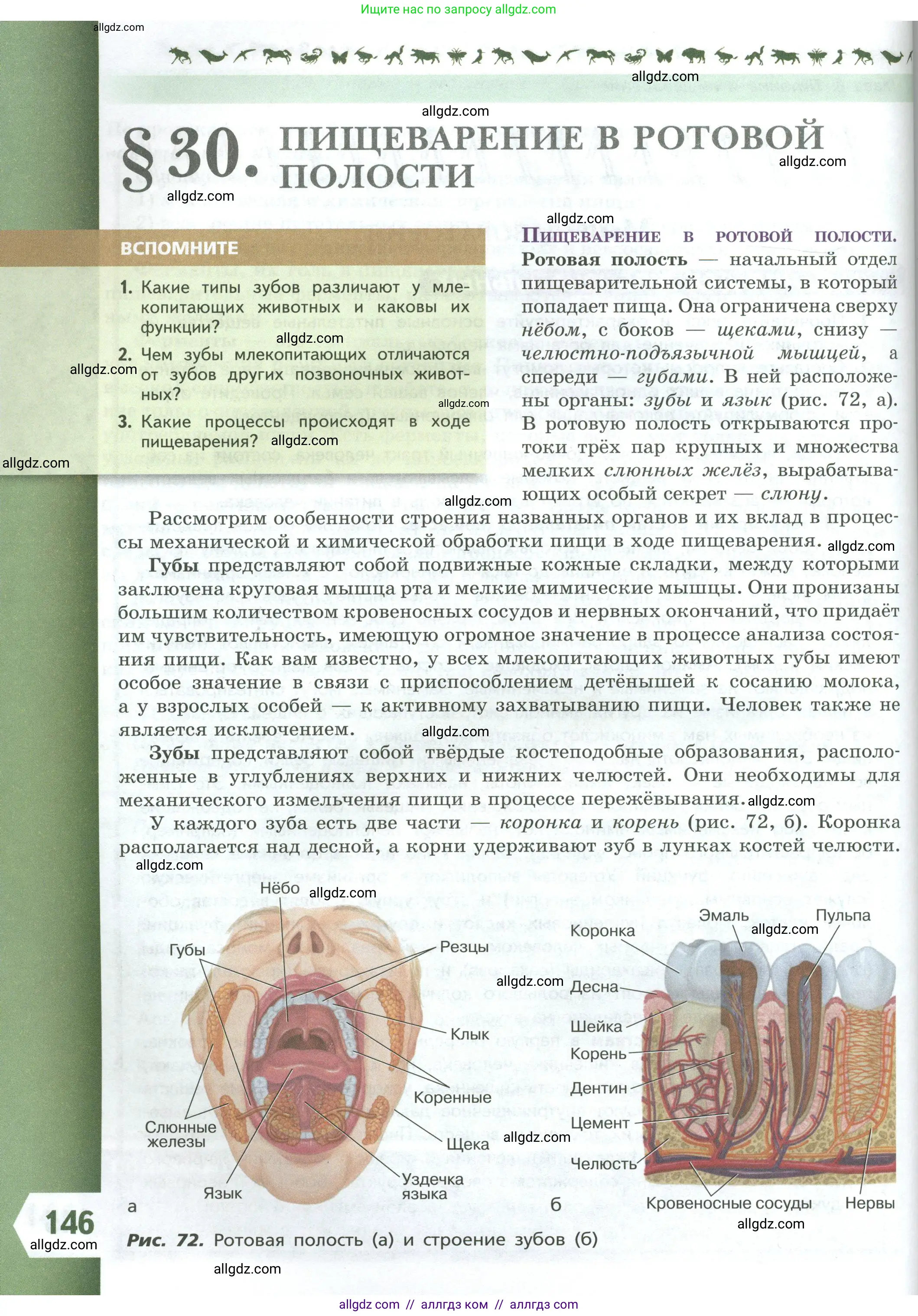 Биология, 9 класс Учебник, авторы: Пасечник Владимир Васильевич, Каменский Андрей Александрович, Швецов Глеб Геннадьевич, Гапонюк Зоя Георгиевна, издательство Просвещение, Москва, 2023, белого цвета, страница 146