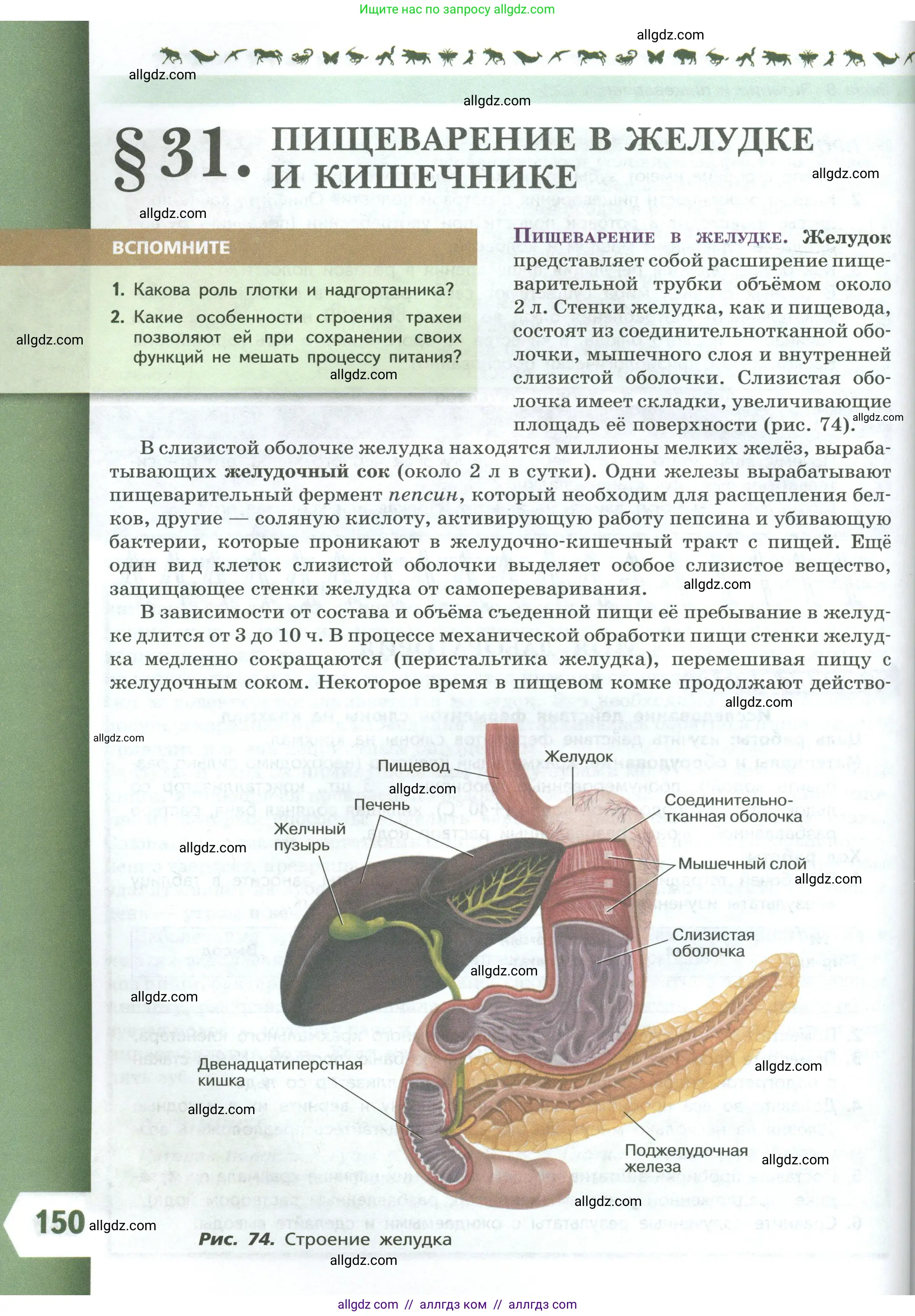 Биология, 9 класс Учебник, авторы: Пасечник Владимир Васильевич, Каменский Андрей Александрович, Швецов Глеб Геннадьевич, Гапонюк Зоя Георгиевна, издательство Просвещение, Москва, 2023, белого цвета, страница 150