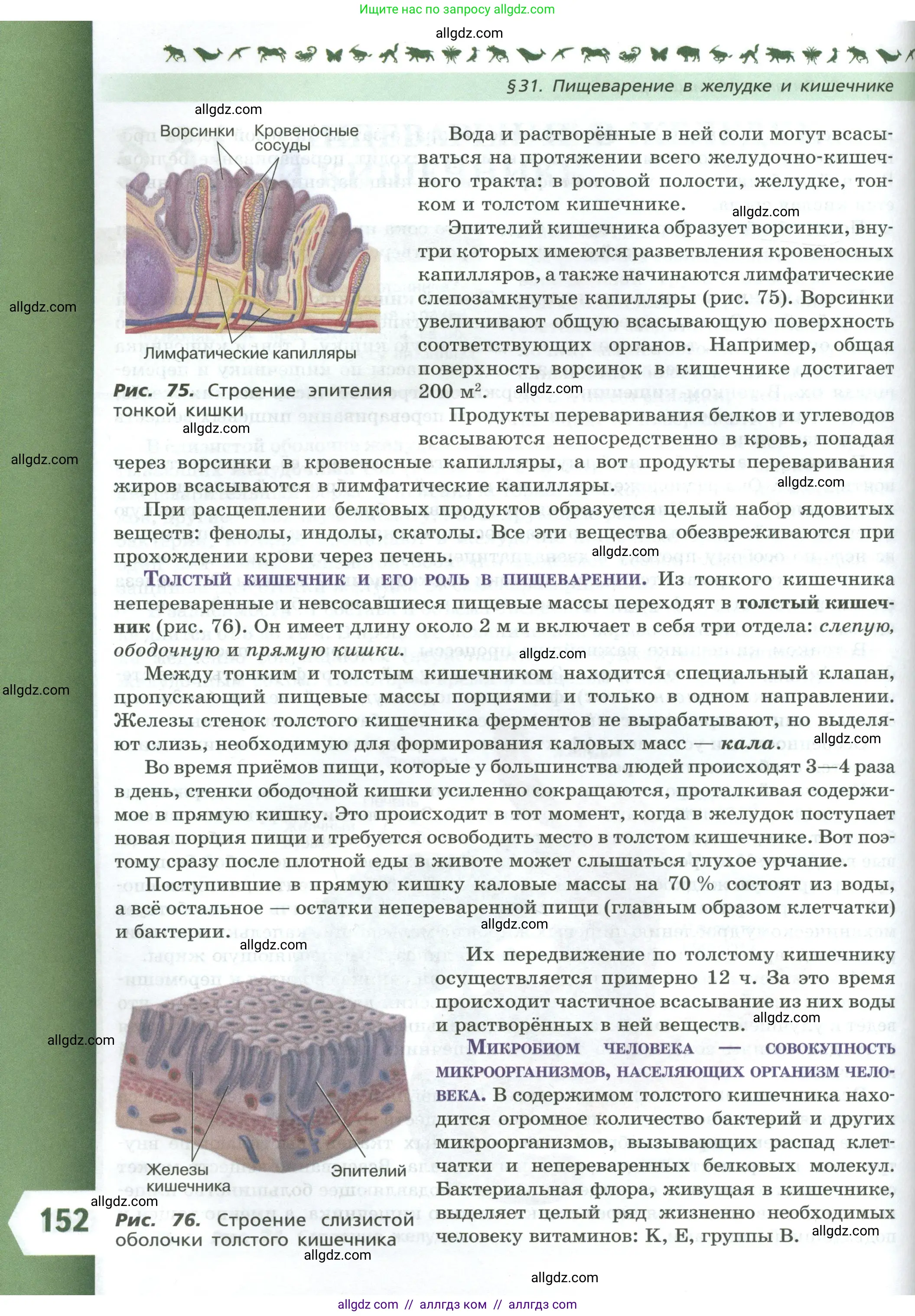 Биология, 9 класс Учебник, авторы: Пасечник Владимир Васильевич, Каменский Андрей Александрович, Швецов Глеб Геннадьевич, Гапонюк Зоя Георгиевна, издательство Просвещение, Москва, 2023, белого цвета, страница 152