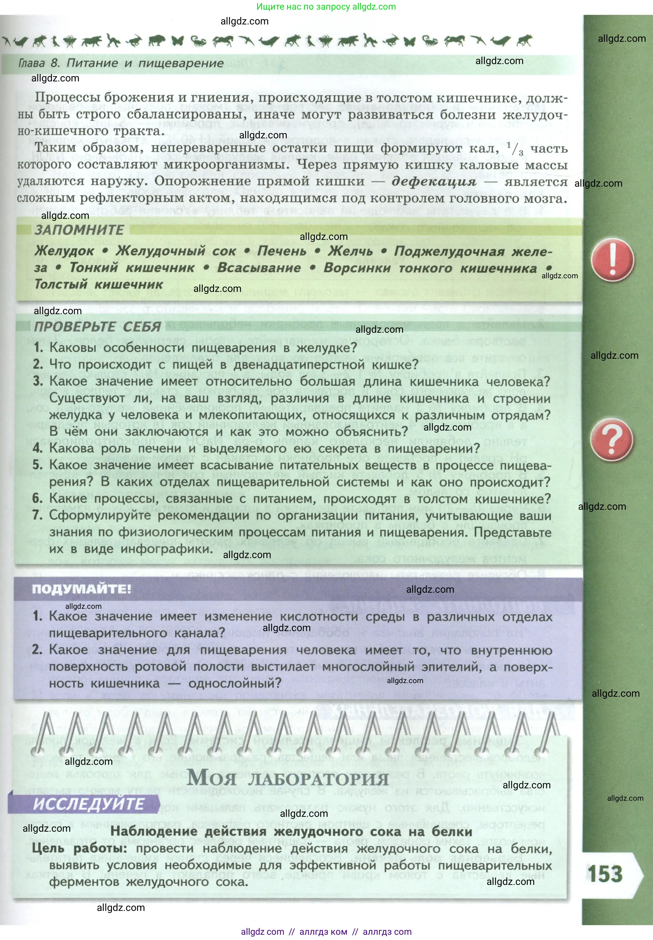 Биология, 9 класс Учебник, авторы: Пасечник Владимир Васильевич, Каменский Андрей Александрович, Швецов Глеб Геннадьевич, Гапонюк Зоя Георгиевна, издательство Просвещение, Москва, 2023, белого цвета, страница 153