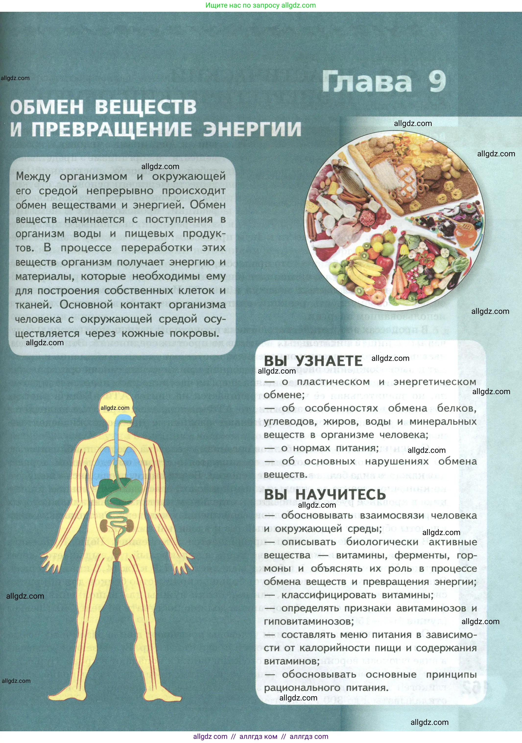 Биология, 9 класс Учебник, авторы: Пасечник Владимир Васильевич, Каменский Андрей Александрович, Швецов Глеб Геннадьевич, Гапонюк Зоя Георгиевна, издательство Просвещение, Москва, 2023, белого цвета, страница 161