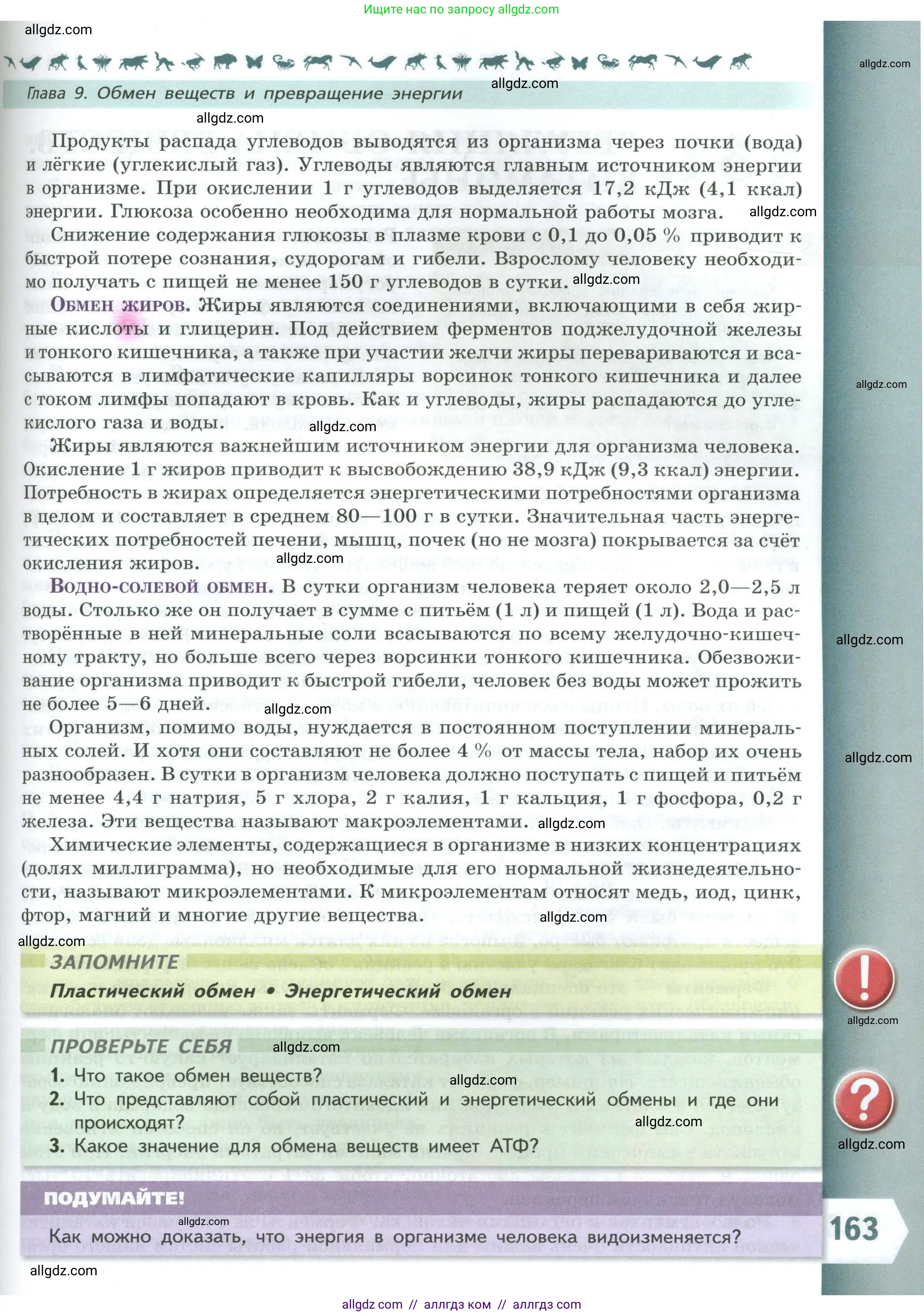 Биология, 9 класс Учебник, авторы: Пасечник Владимир Васильевич, Каменский Андрей Александрович, Швецов Глеб Геннадьевич, Гапонюк Зоя Георгиевна, издательство Просвещение, Москва, 2023, белого цвета, страница 163