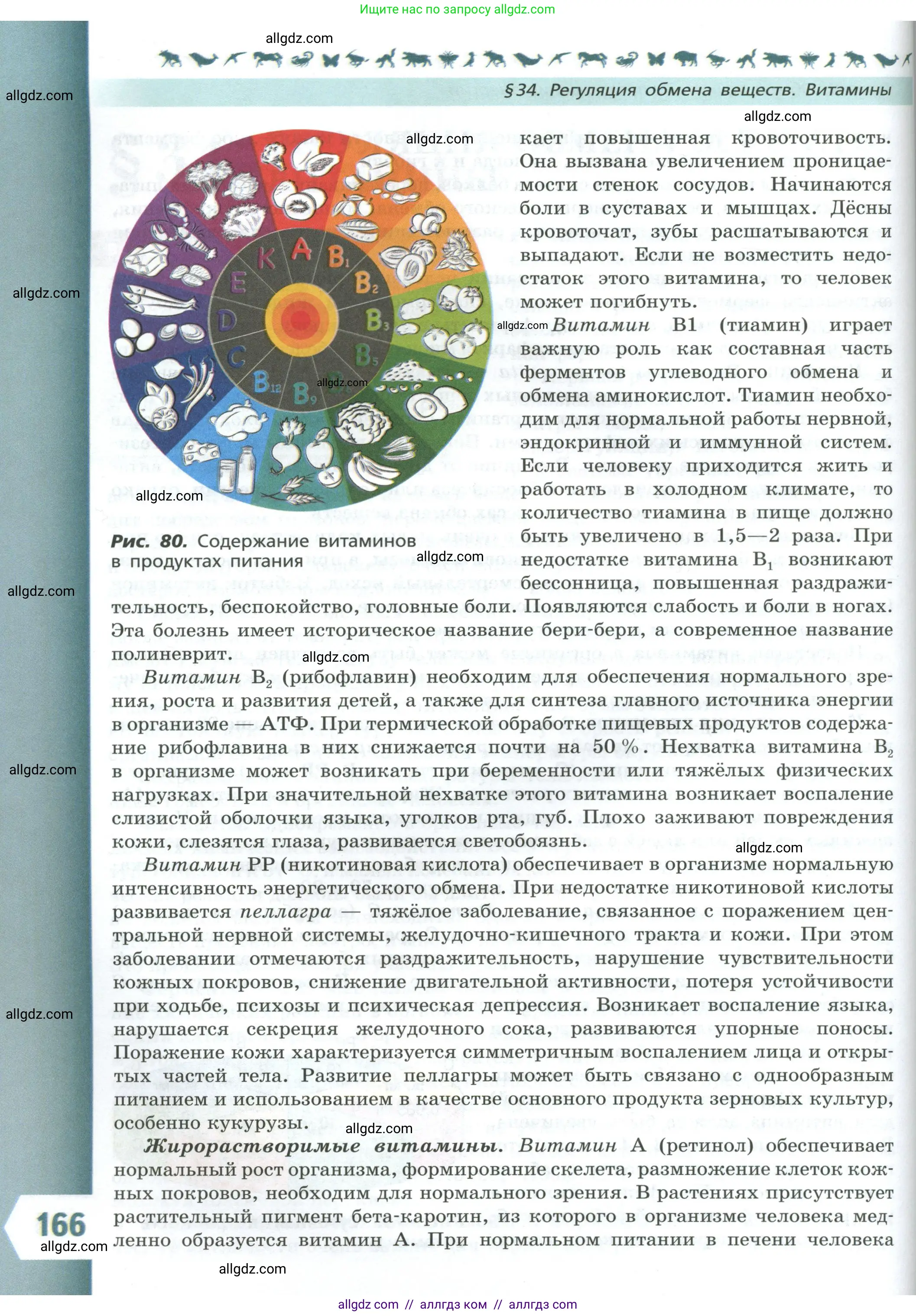 Биология, 9 класс Учебник, авторы: Пасечник Владимир Васильевич, Каменский Андрей Александрович, Швецов Глеб Геннадьевич, Гапонюк Зоя Георгиевна, издательство Просвещение, Москва, 2023, белого цвета, страница 166