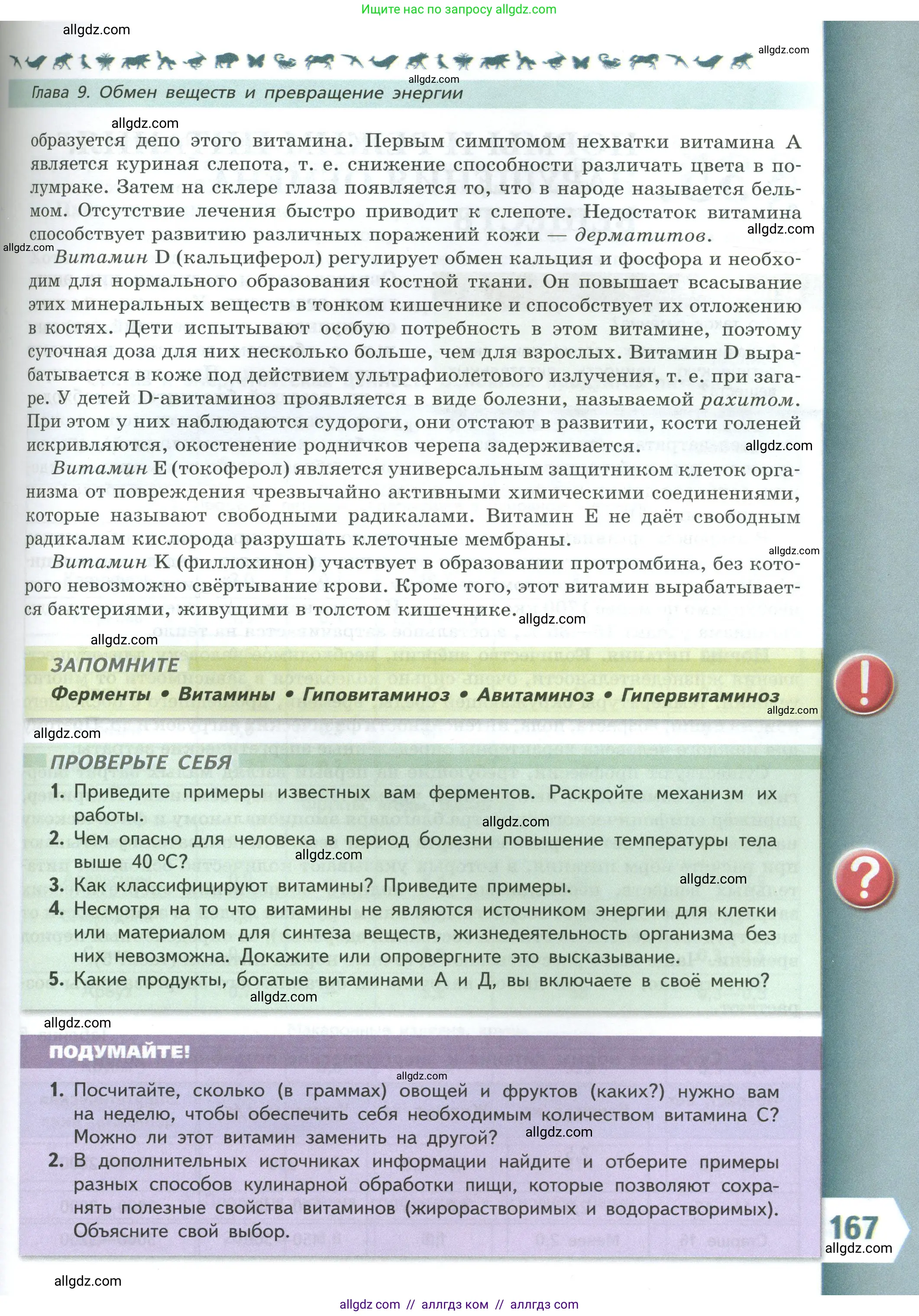 Биология, 9 класс Учебник, авторы: Пасечник Владимир Васильевич, Каменский Андрей Александрович, Швецов Глеб Геннадьевич, Гапонюк Зоя Георгиевна, издательство Просвещение, Москва, 2023, белого цвета, страница 167