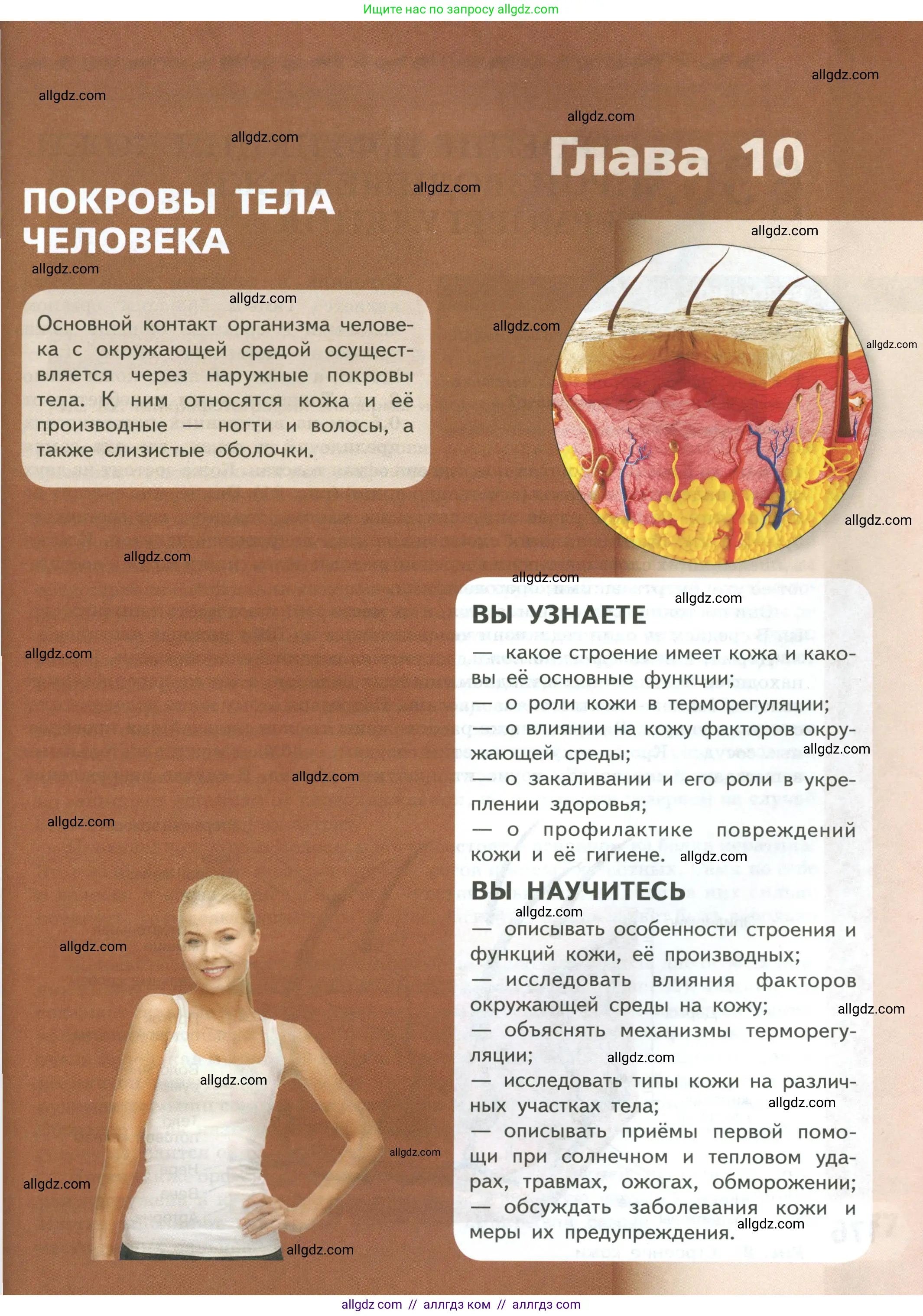 Биология, 9 класс Учебник, авторы: Пасечник Владимир Васильевич, Каменский Андрей Александрович, Швецов Глеб Геннадьевич, Гапонюк Зоя Георгиевна, издательство Просвещение, Москва, 2023, белого цвета, страница 175