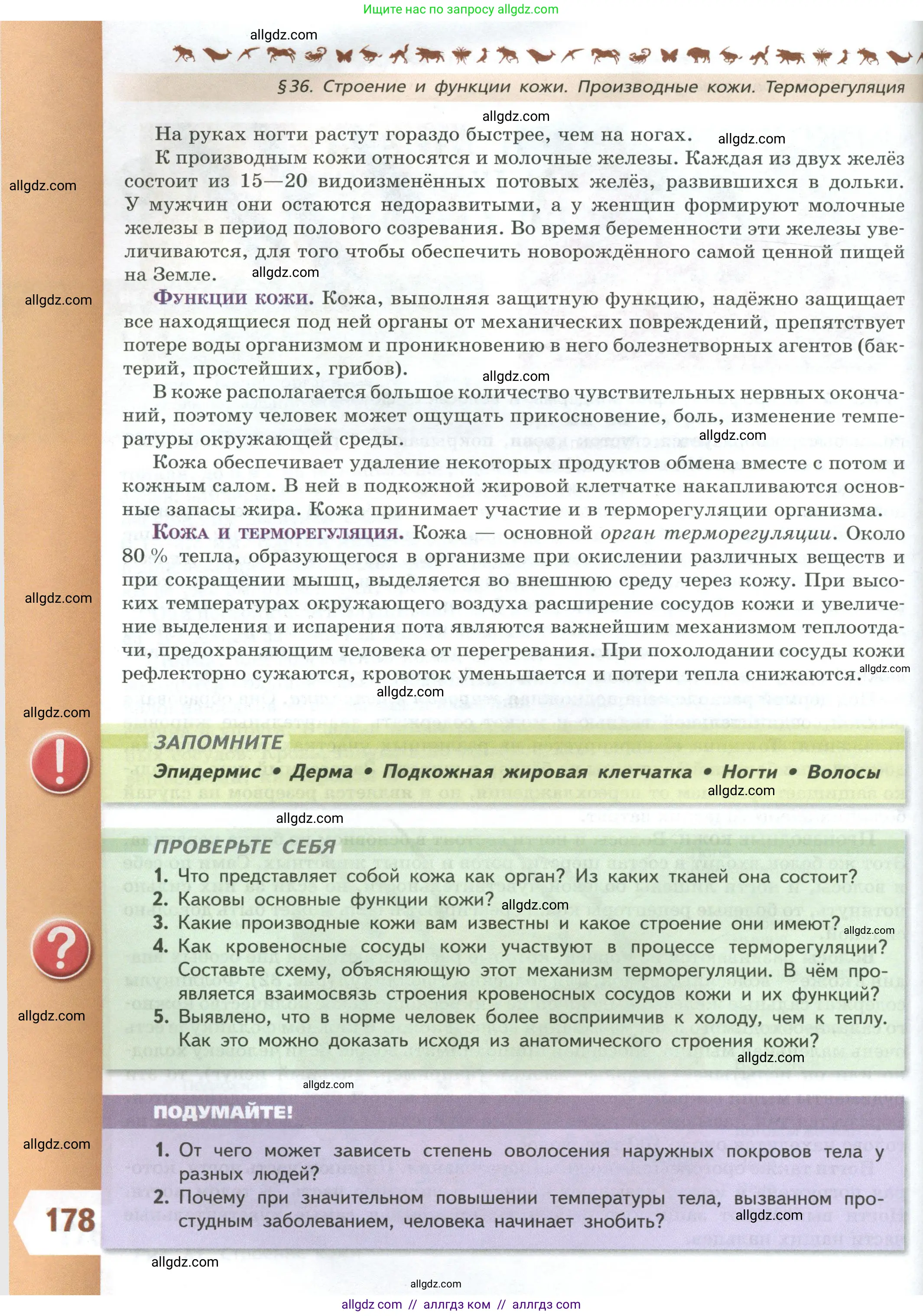 Биология, 9 класс Учебник, авторы: Пасечник Владимир Васильевич, Каменский Андрей Александрович, Швецов Глеб Геннадьевич, Гапонюк Зоя Георгиевна, издательство Просвещение, Москва, 2023, белого цвета, страница 178