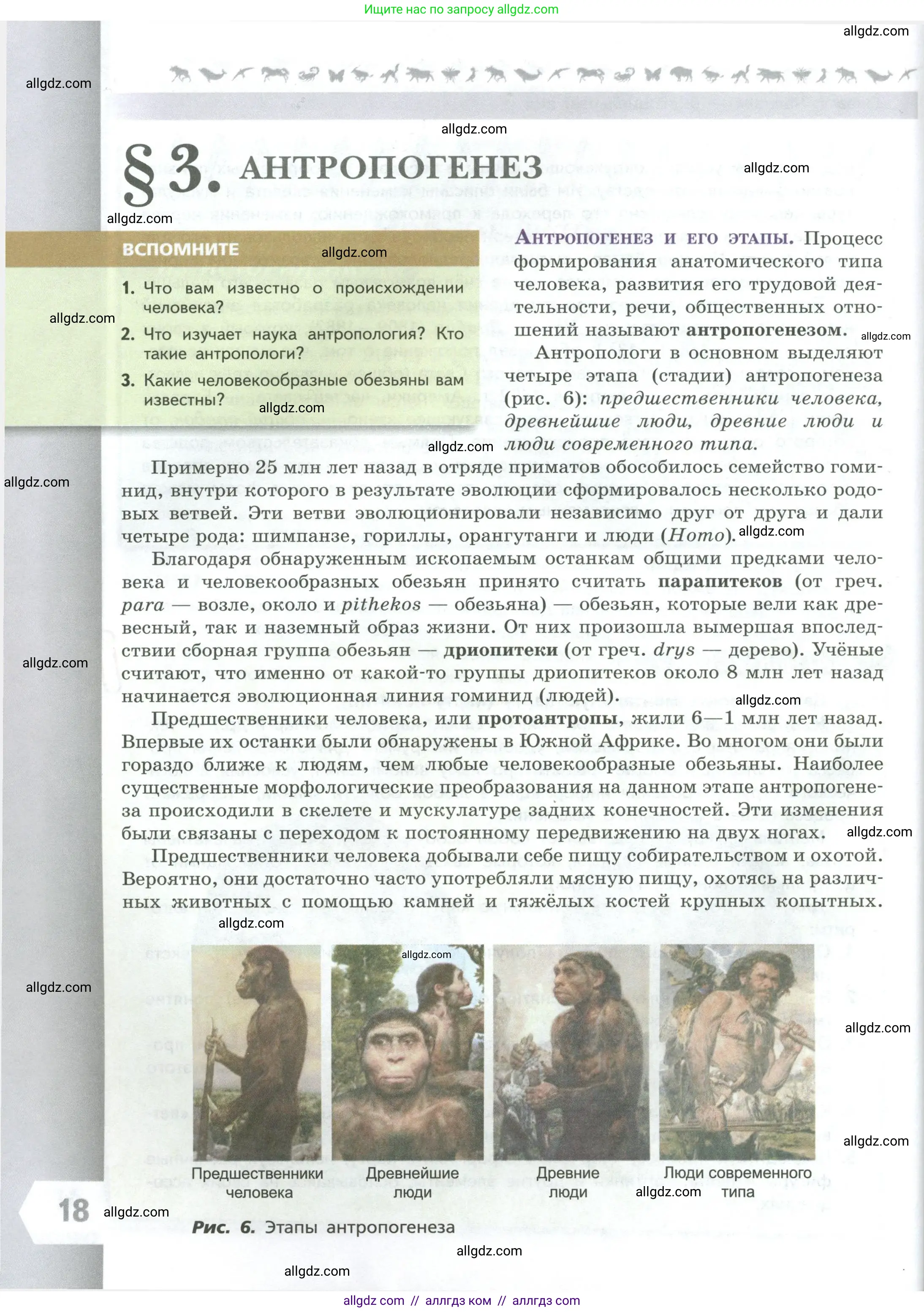 Биология, 9 класс Учебник, авторы: Пасечник Владимир Васильевич, Каменский Андрей Александрович, Швецов Глеб Геннадьевич, Гапонюк Зоя Георгиевна, издательство Просвещение, Москва, 2023, белого цвета, страница 18