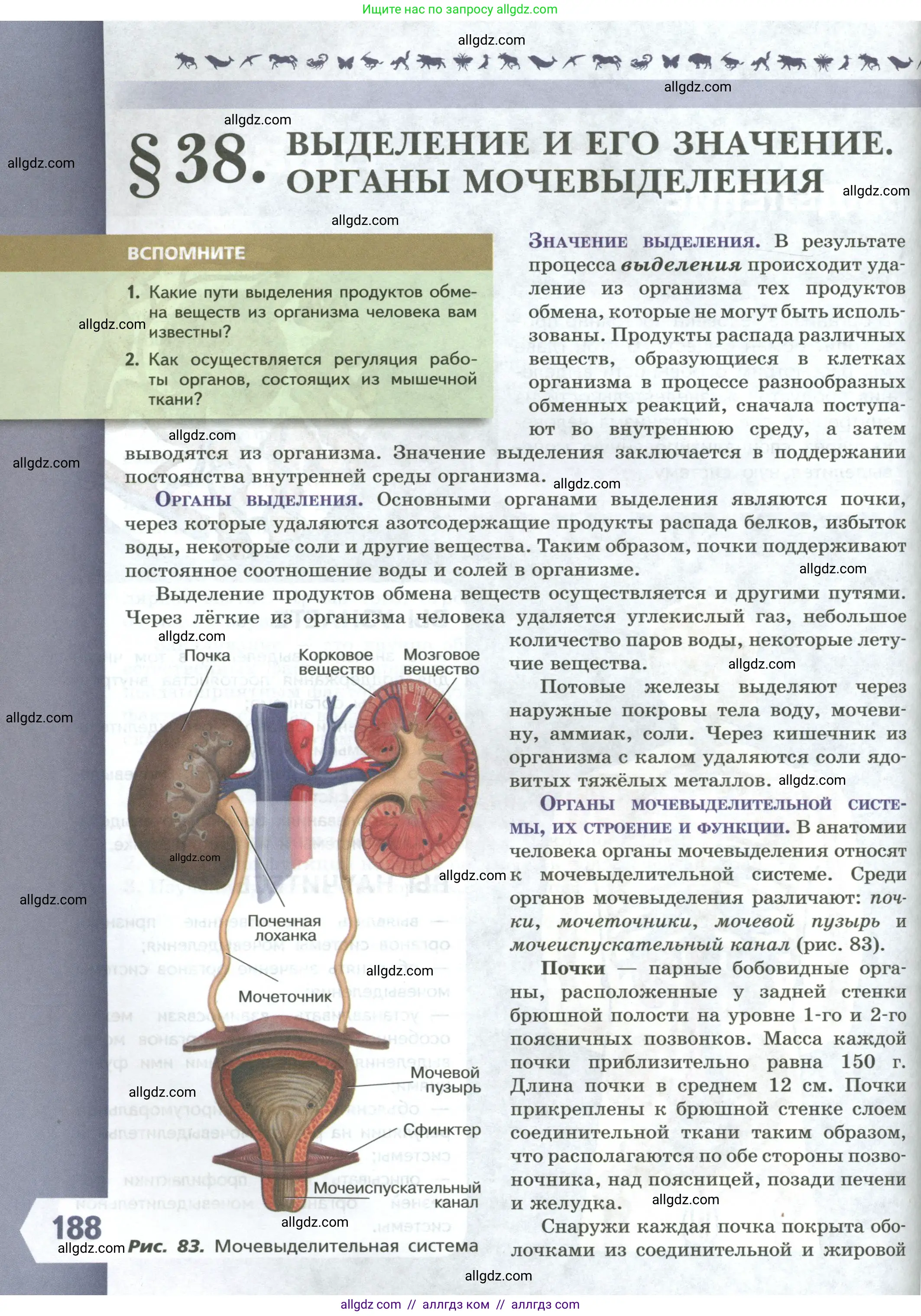 Биология, 9 класс Учебник, авторы: Пасечник Владимир Васильевич, Каменский Андрей Александрович, Швецов Глеб Геннадьевич, Гапонюк Зоя Георгиевна, издательство Просвещение, Москва, 2023, белого цвета, страница 188