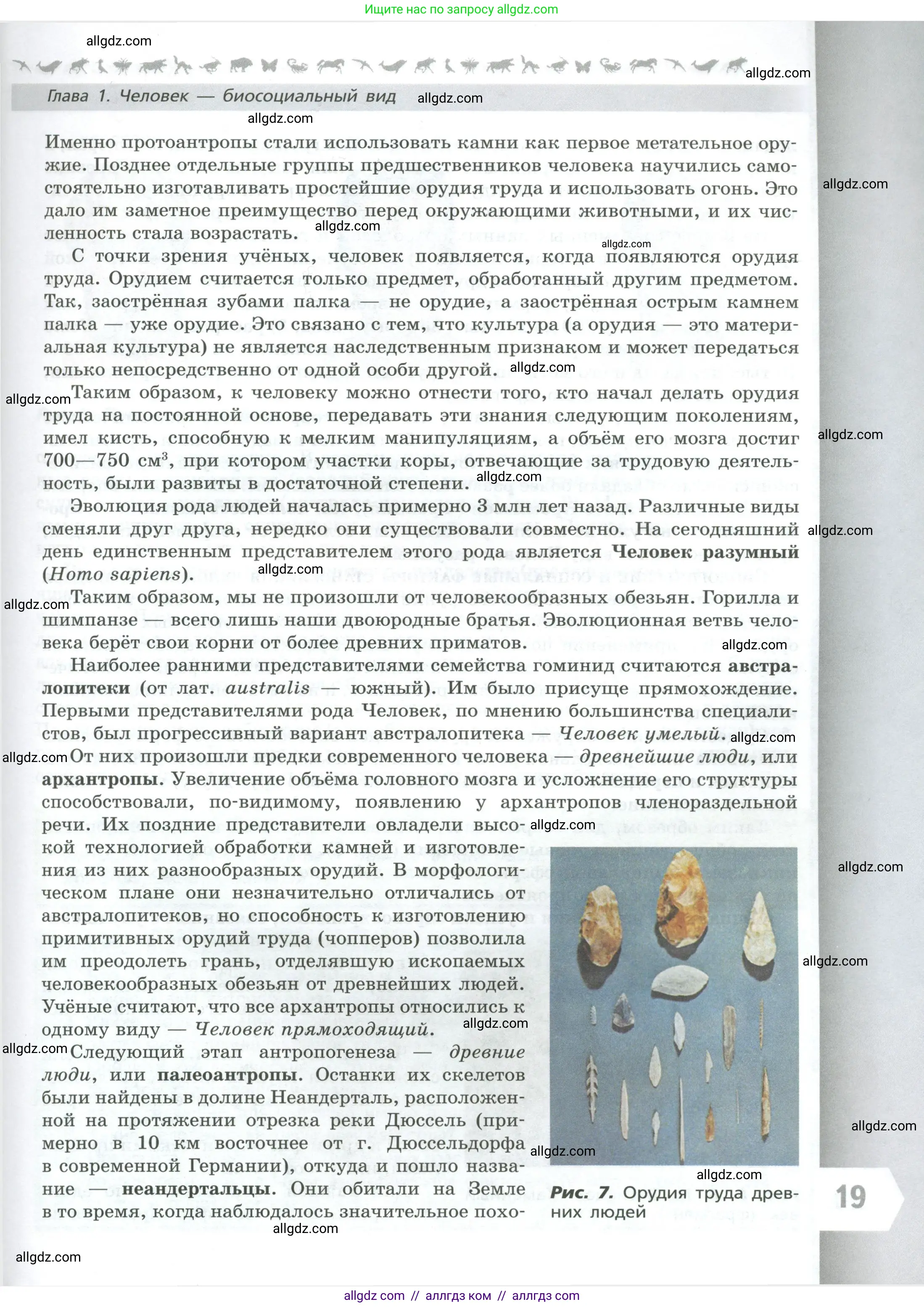 Биология, 9 класс Учебник, авторы: Пасечник Владимир Васильевич, Каменский Андрей Александрович, Швецов Глеб Геннадьевич, Гапонюк Зоя Георгиевна, издательство Просвещение, Москва, 2023, белого цвета, страница 19