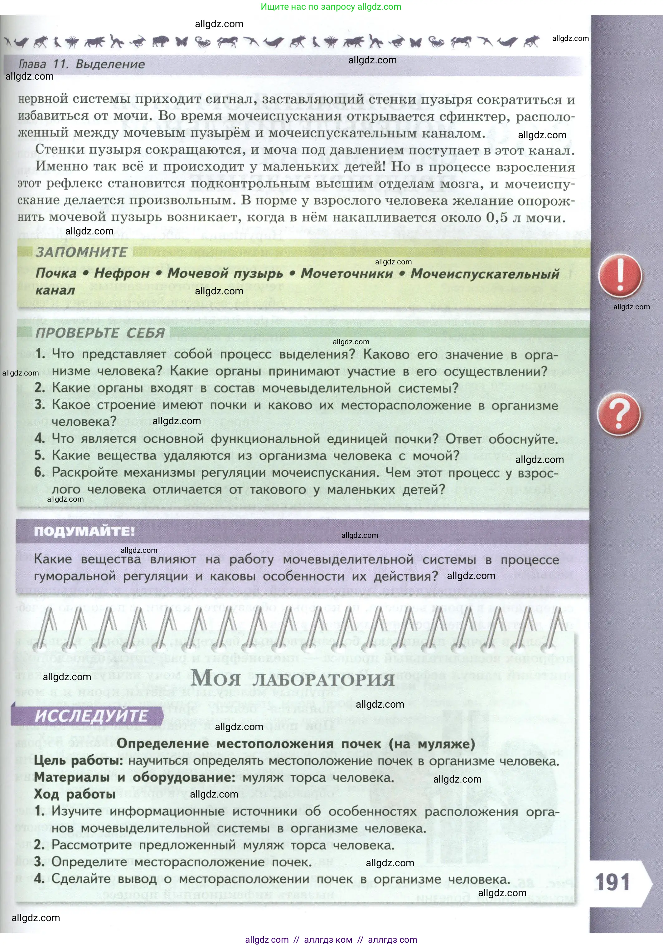 Биология, 9 класс Учебник, авторы: Пасечник Владимир Васильевич, Каменский Андрей Александрович, Швецов Глеб Геннадьевич, Гапонюк Зоя Георгиевна, издательство Просвещение, Москва, 2023, белого цвета, страница 191