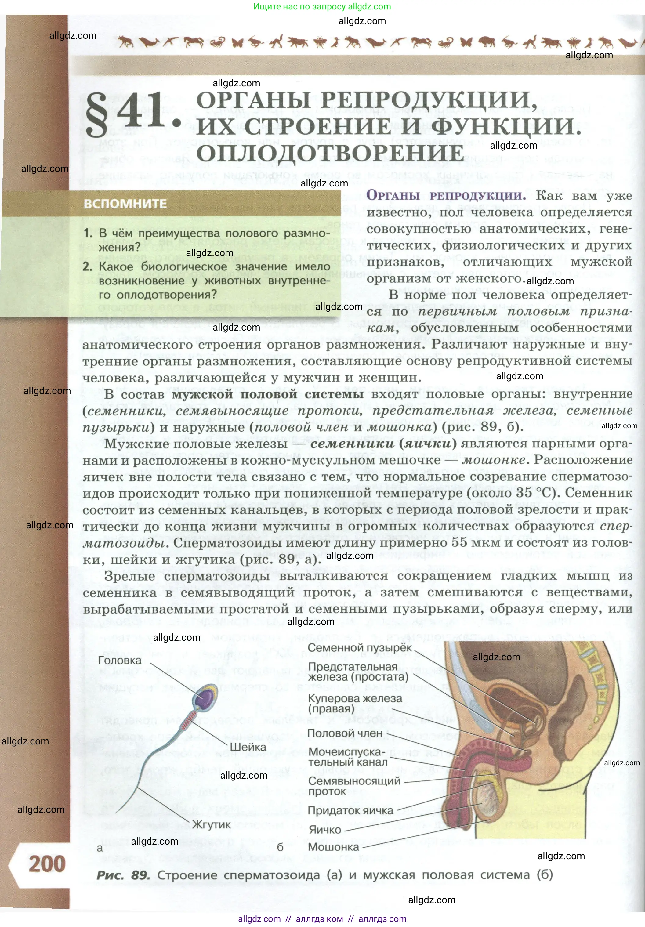 Биология, 9 класс Учебник, авторы: Пасечник Владимир Васильевич, Каменский Андрей Александрович, Швецов Глеб Геннадьевич, Гапонюк Зоя Георгиевна, издательство Просвещение, Москва, 2023, белого цвета, страница 200