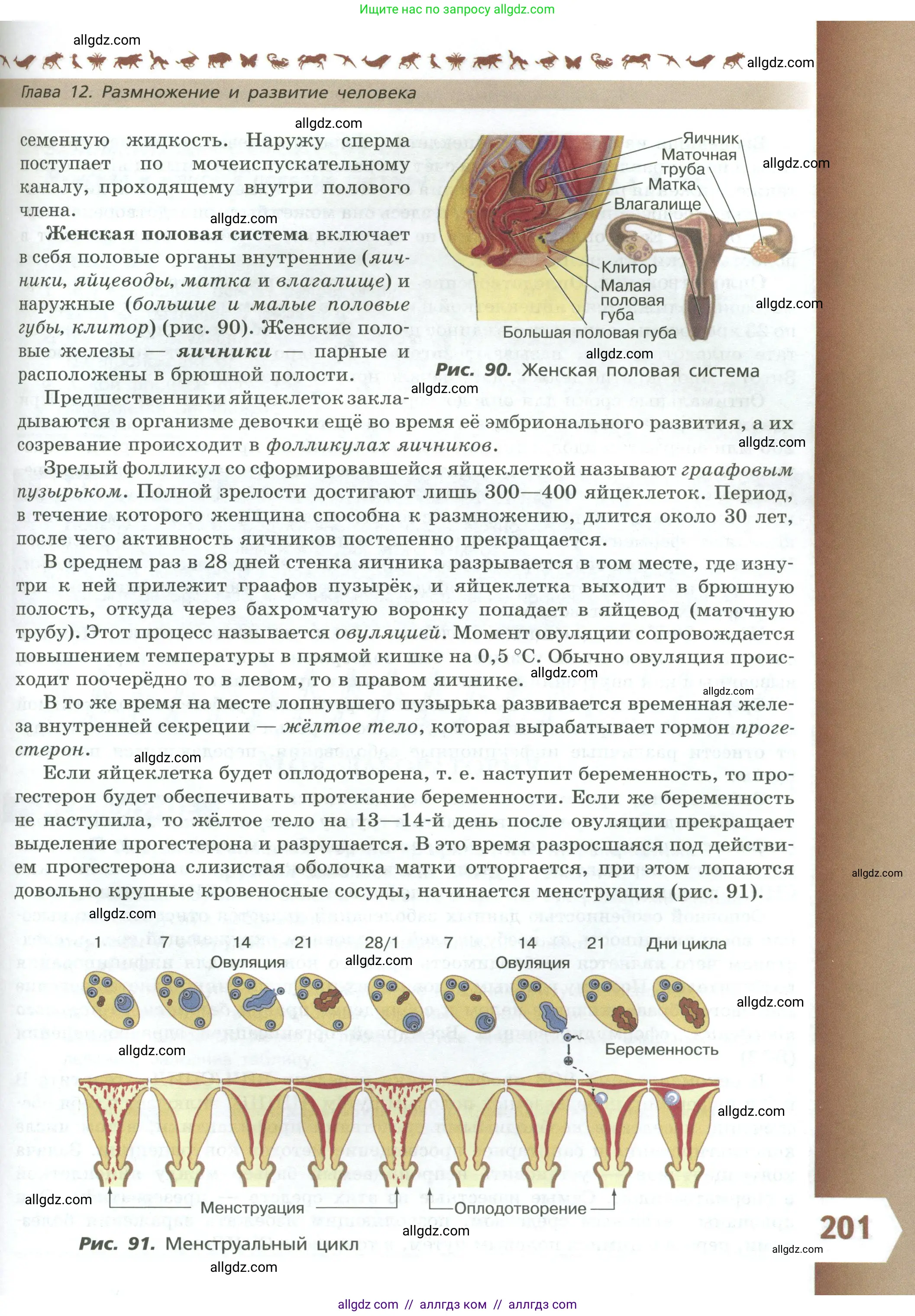Биология, 9 класс Учебник, авторы: Пасечник Владимир Васильевич, Каменский Андрей Александрович, Швецов Глеб Геннадьевич, Гапонюк Зоя Георгиевна, издательство Просвещение, Москва, 2023, белого цвета, страница 201
