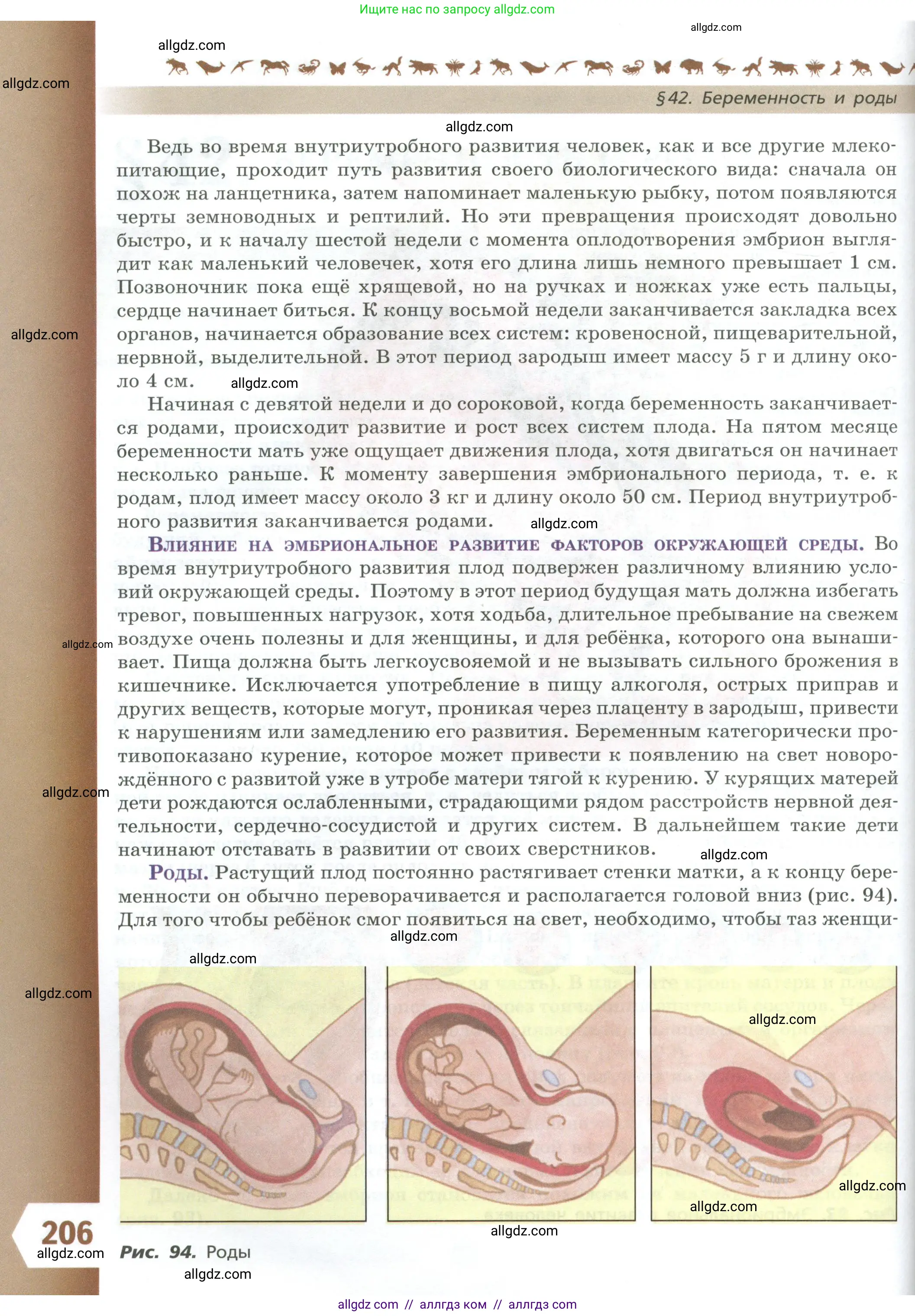 Биология, 9 класс Учебник, авторы: Пасечник Владимир Васильевич, Каменский Андрей Александрович, Швецов Глеб Геннадьевич, Гапонюк Зоя Георгиевна, издательство Просвещение, Москва, 2023, белого цвета, страница 206