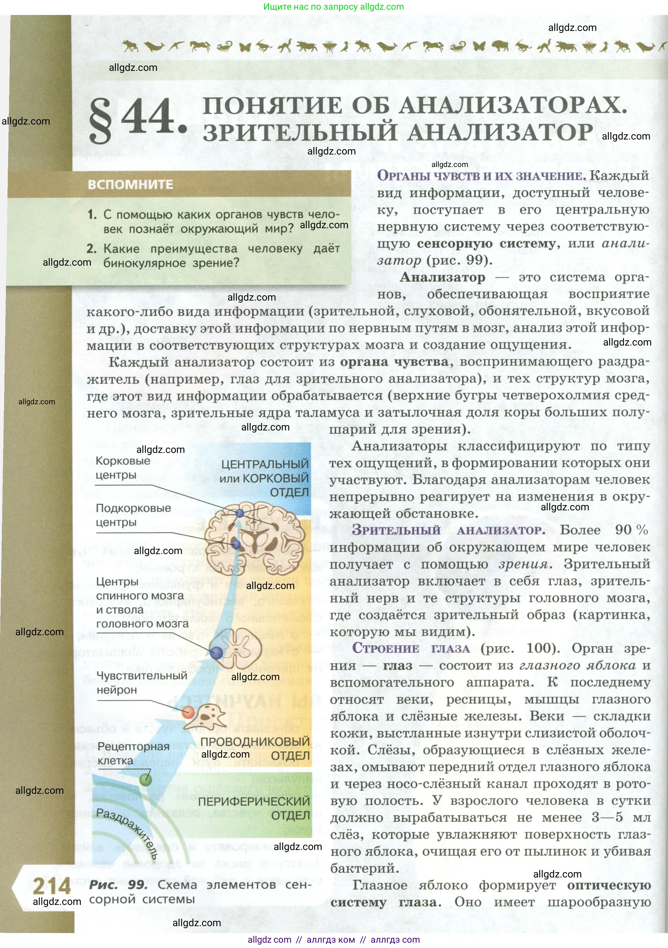 Биология, 9 класс Учебник, авторы: Пасечник Владимир Васильевич, Каменский Андрей Александрович, Швецов Глеб Геннадьевич, Гапонюк Зоя Георгиевна, издательство Просвещение, Москва, 2023, белого цвета, страница 214