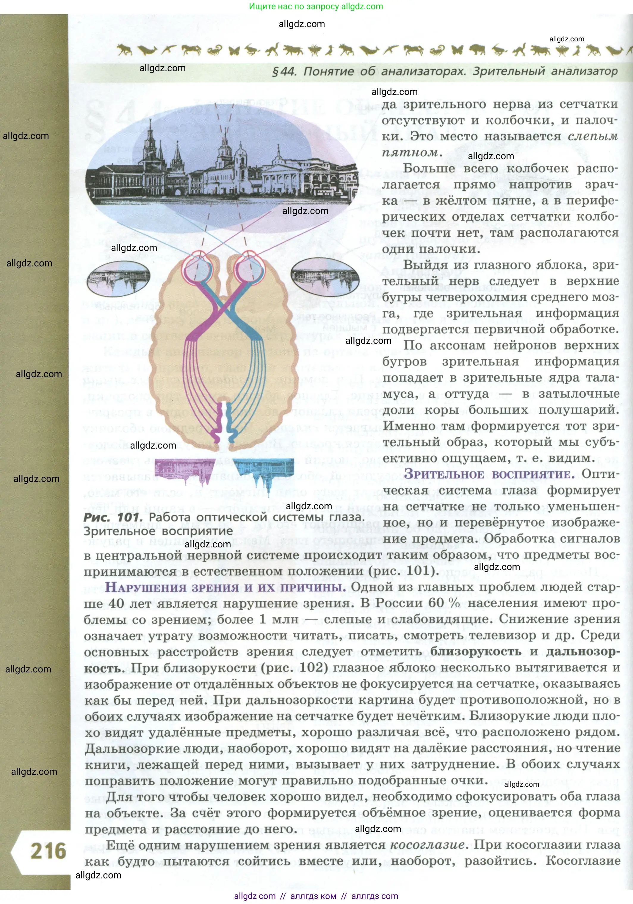 Биология, 9 класс Учебник, авторы: Пасечник Владимир Васильевич, Каменский Андрей Александрович, Швецов Глеб Геннадьевич, Гапонюк Зоя Георгиевна, издательство Просвещение, Москва, 2023, белого цвета, страница 216