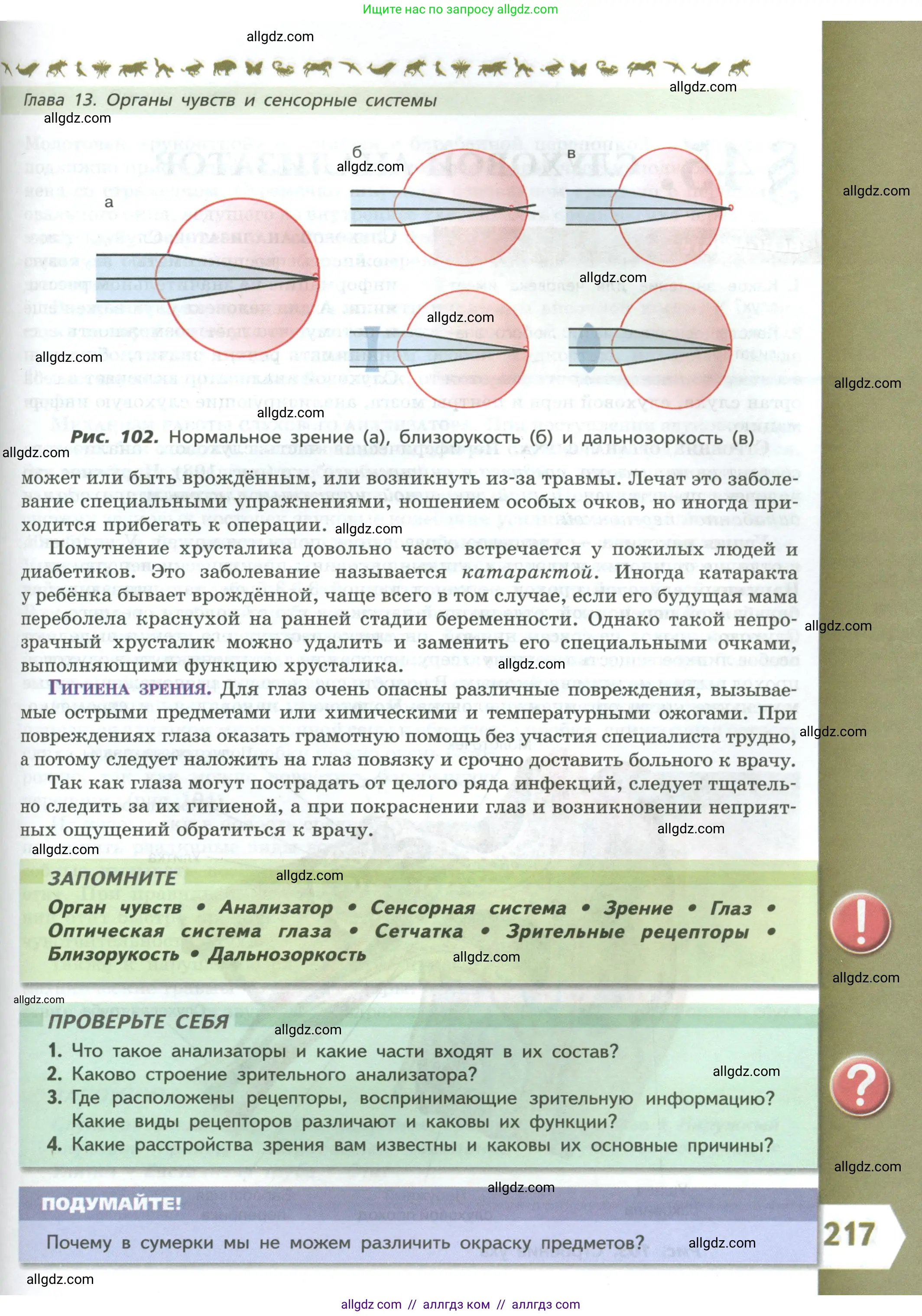 Биология, 9 класс Учебник, авторы: Пасечник Владимир Васильевич, Каменский Андрей Александрович, Швецов Глеб Геннадьевич, Гапонюк Зоя Георгиевна, издательство Просвещение, Москва, 2023, белого цвета, страница 217
