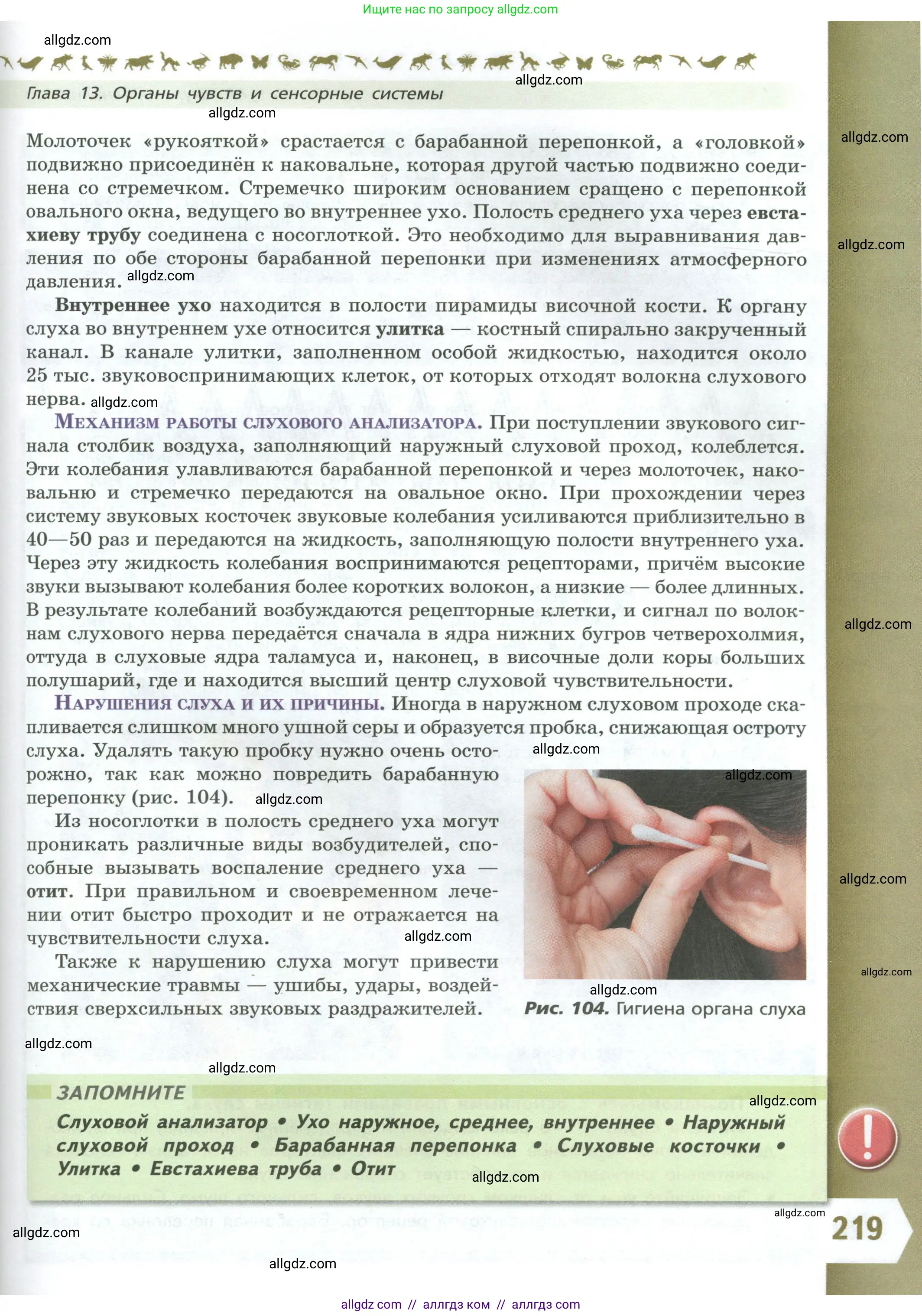 Биология, 9 класс Учебник, авторы: Пасечник Владимир Васильевич, Каменский Андрей Александрович, Швецов Глеб Геннадьевич, Гапонюк Зоя Георгиевна, издательство Просвещение, Москва, 2023, белого цвета, страница 219