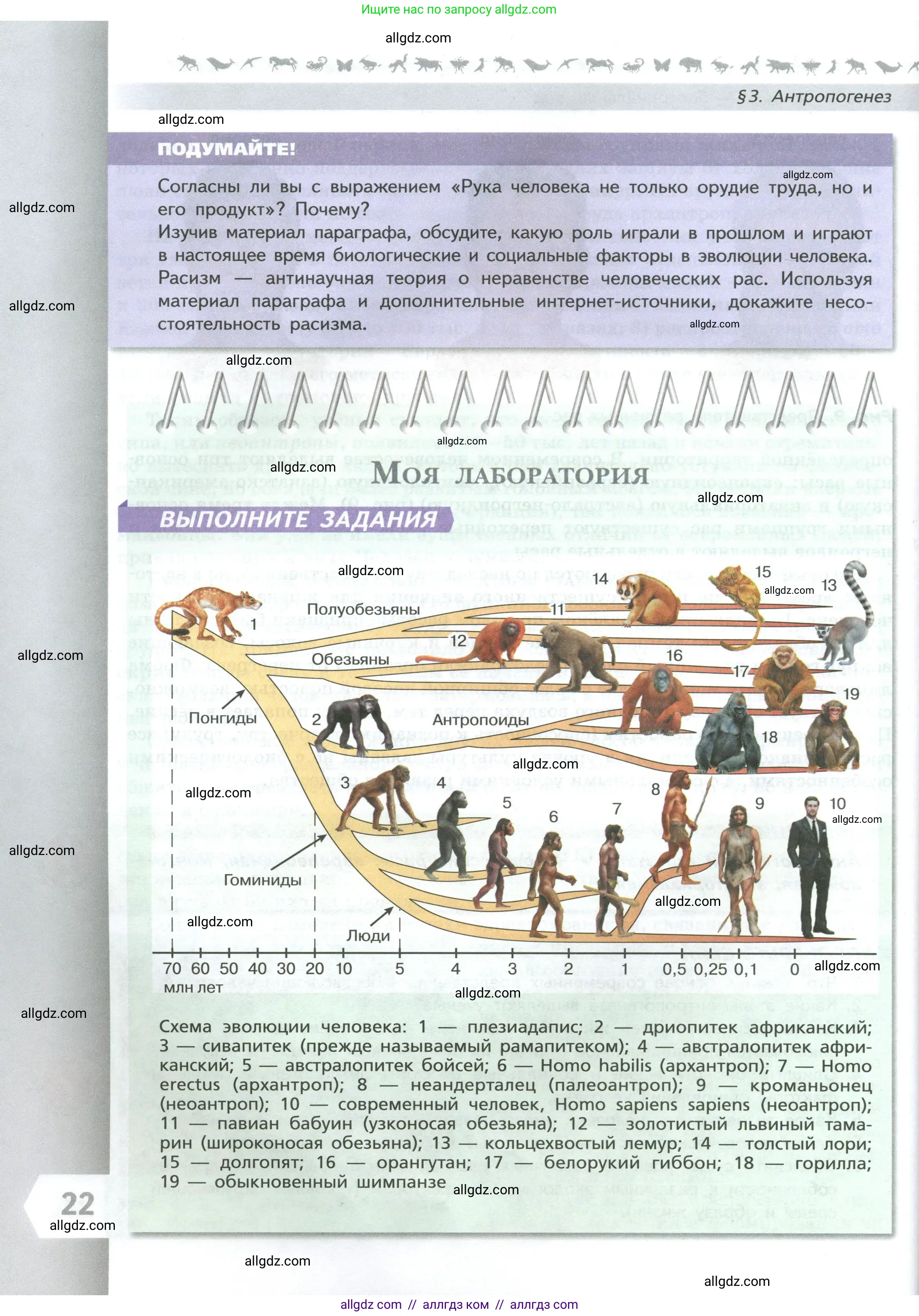 Биология, 9 класс Учебник, авторы: Пасечник Владимир Васильевич, Каменский Андрей Александрович, Швецов Глеб Геннадьевич, Гапонюк Зоя Георгиевна, издательство Просвещение, Москва, 2023, белого цвета, страница 22