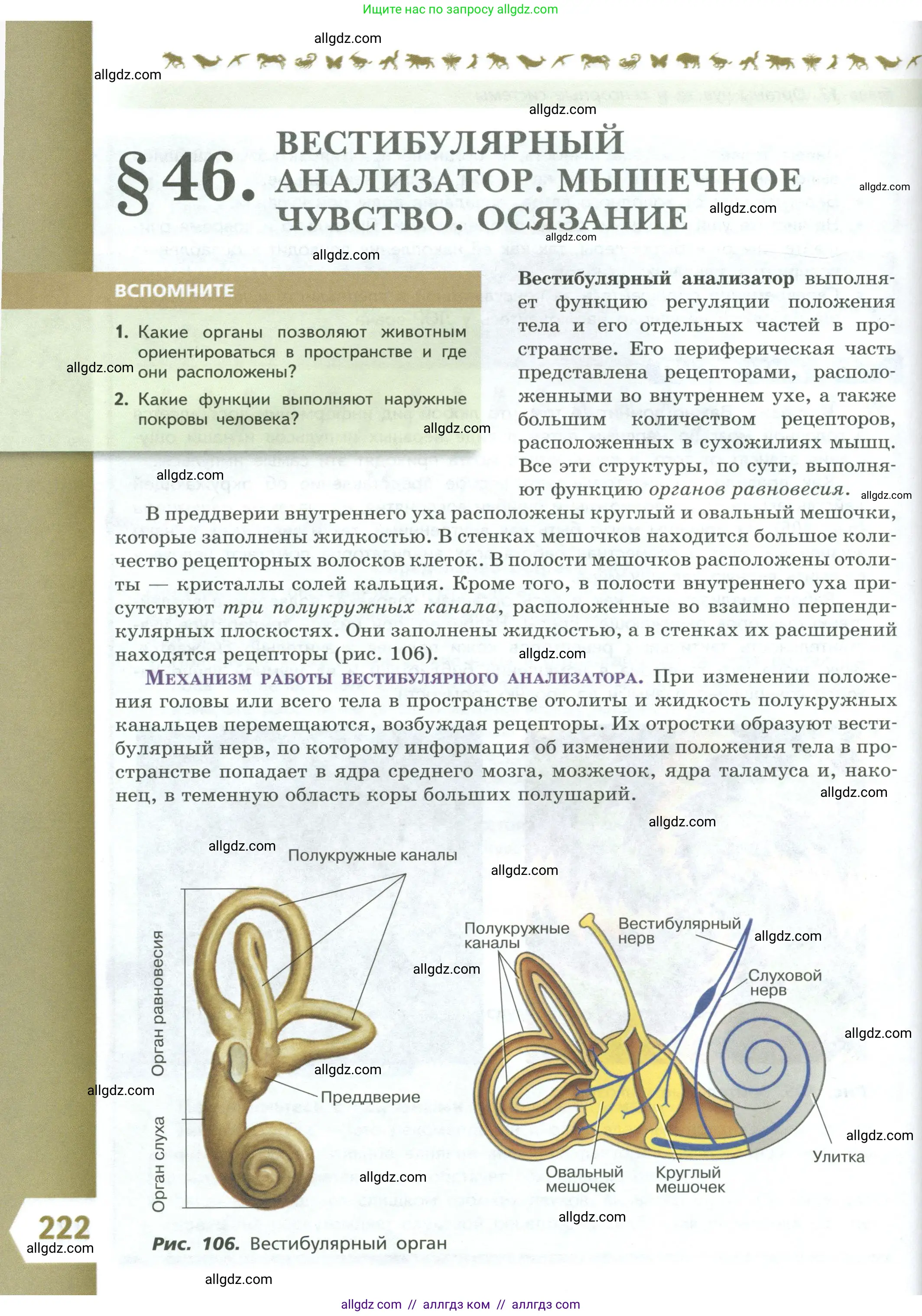 Биология, 9 класс Учебник, авторы: Пасечник Владимир Васильевич, Каменский Андрей Александрович, Швецов Глеб Геннадьевич, Гапонюк Зоя Георгиевна, издательство Просвещение, Москва, 2023, белого цвета, страница 222