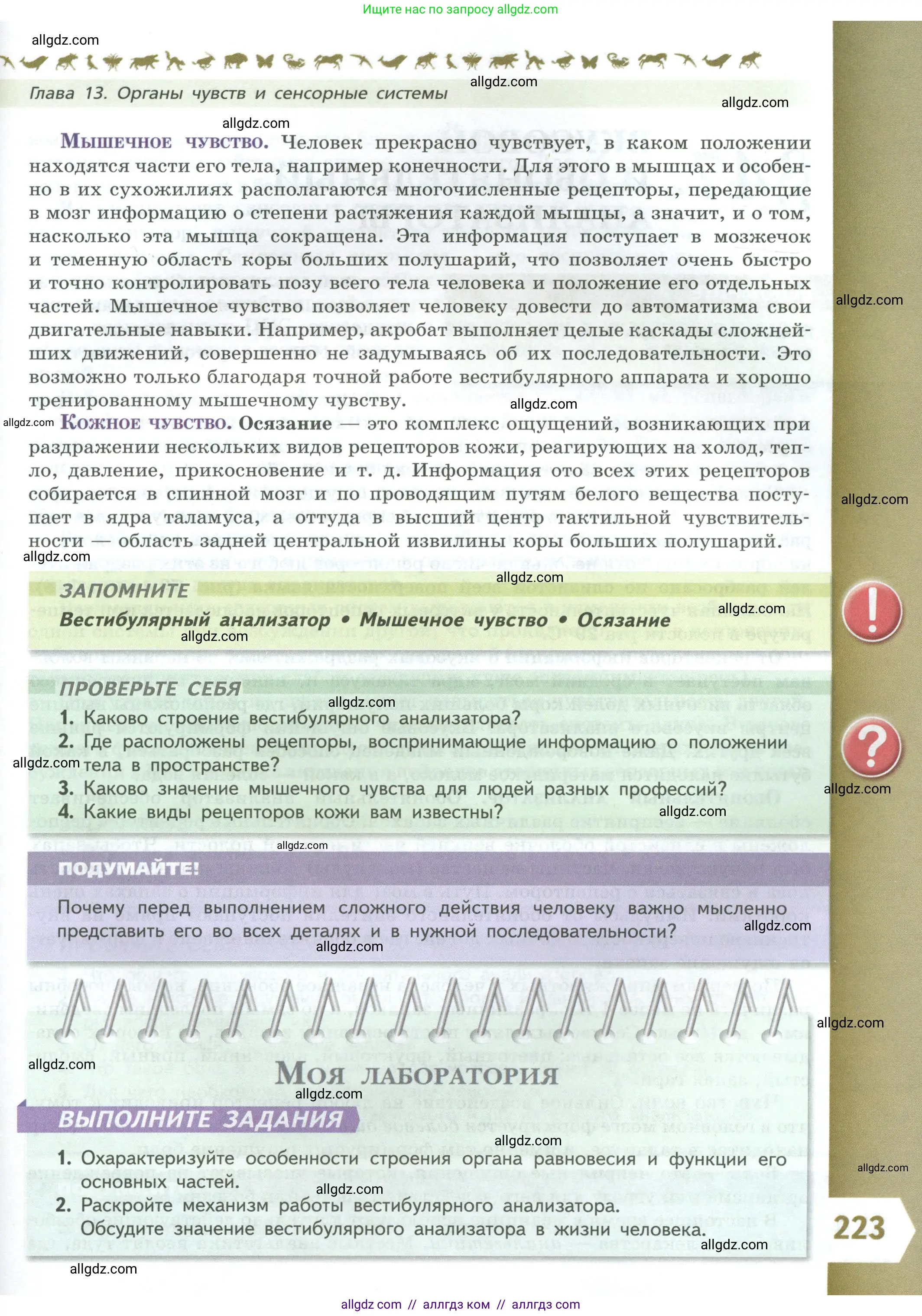 Биология, 9 класс Учебник, авторы: Пасечник Владимир Васильевич, Каменский Андрей Александрович, Швецов Глеб Геннадьевич, Гапонюк Зоя Георгиевна, издательство Просвещение, Москва, 2023, белого цвета, страница 223